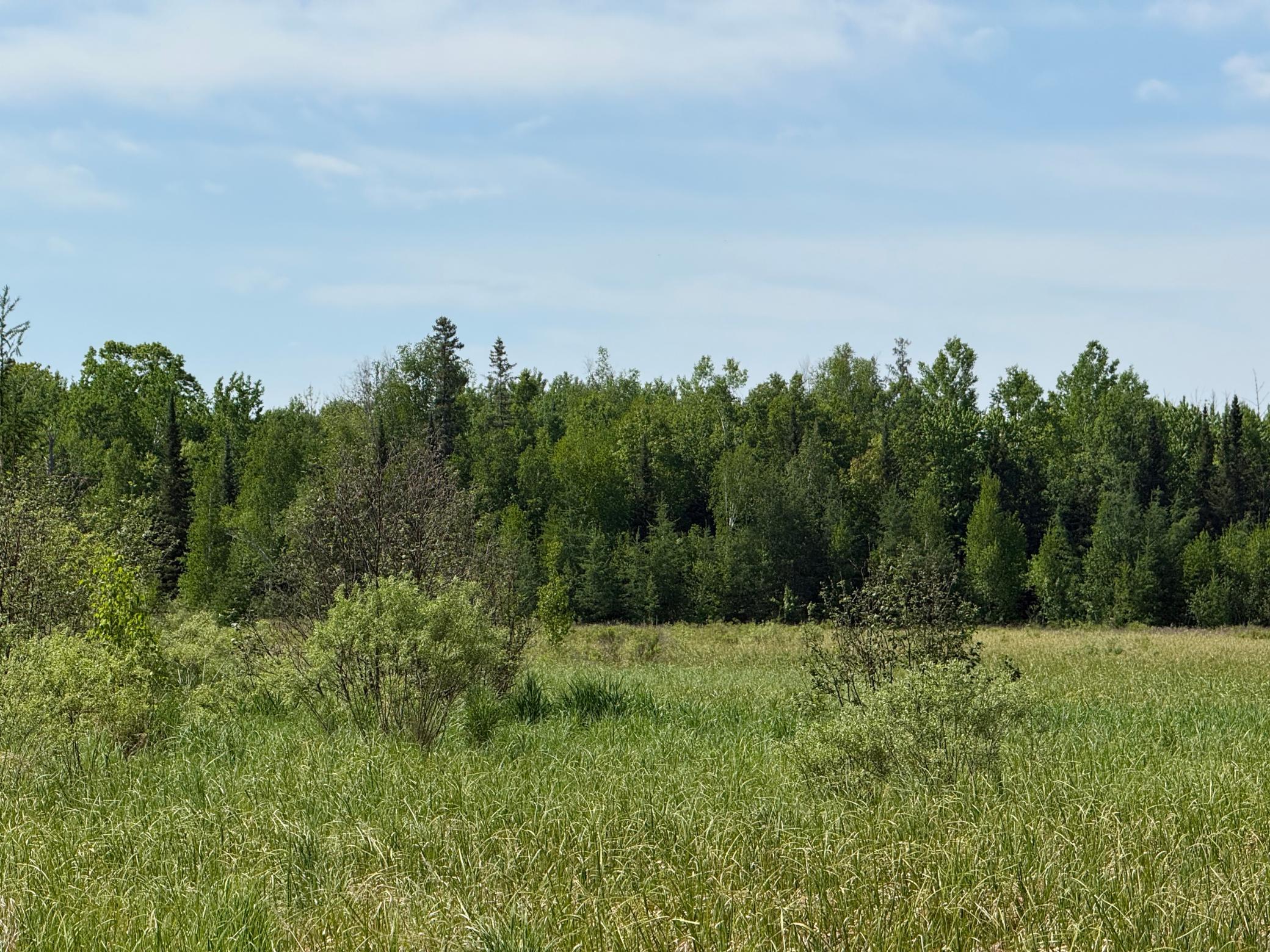 42330 Rutabaga Road Property Photo 28