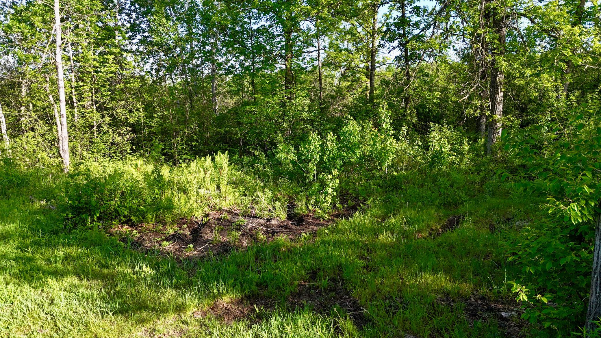 Tbd Highway 65 Property Photo 6
