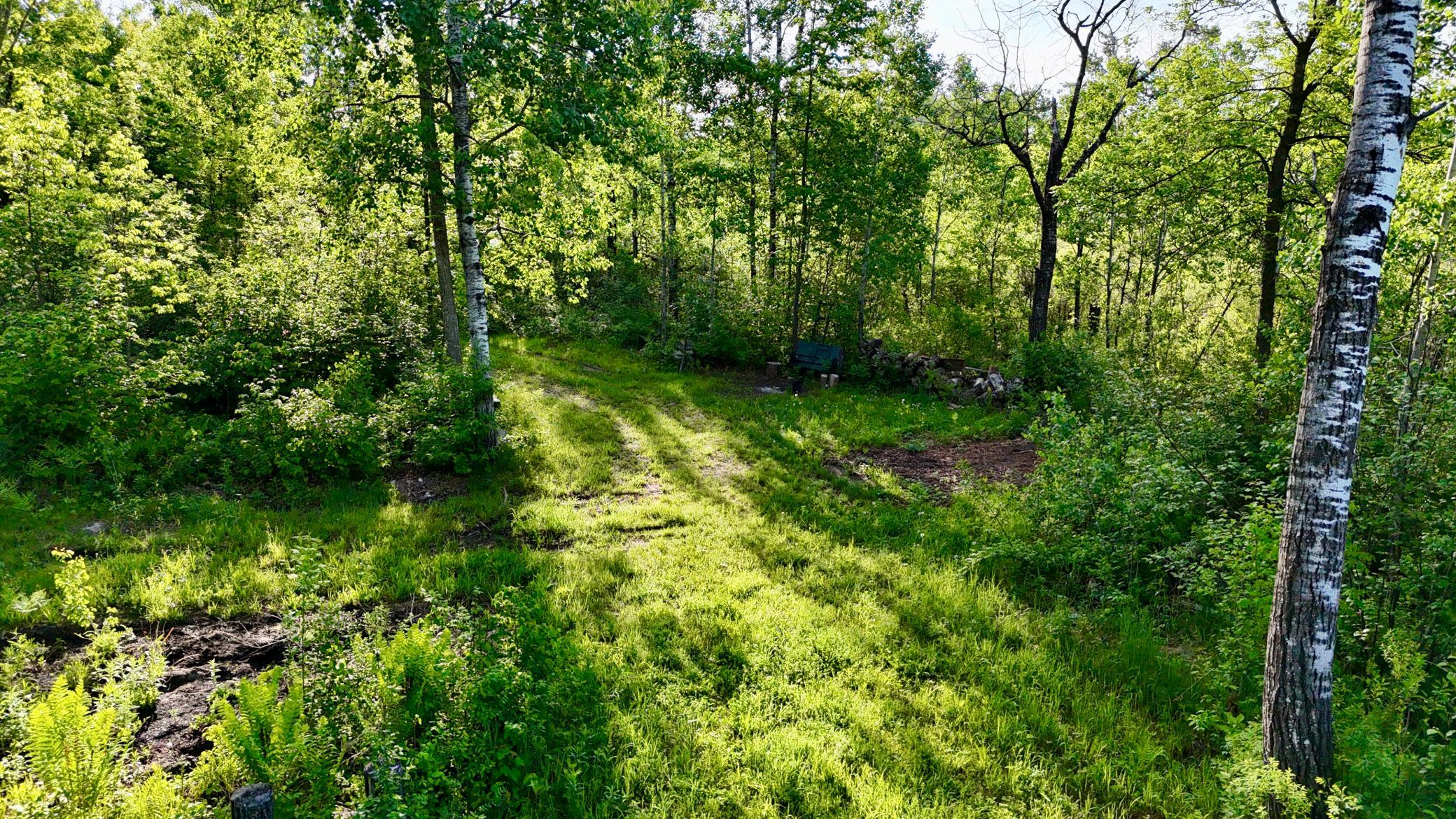 Tbd Highway 65 Property Photo 8