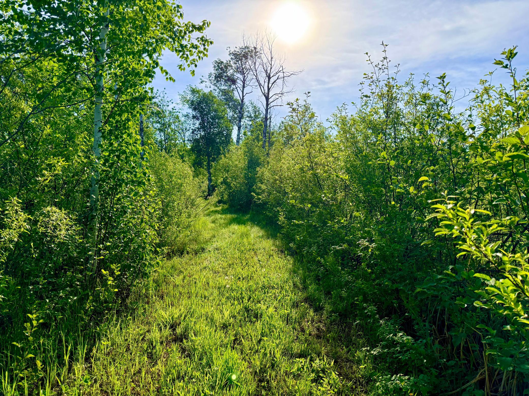 Tbd Highway 65 Property Photo 10