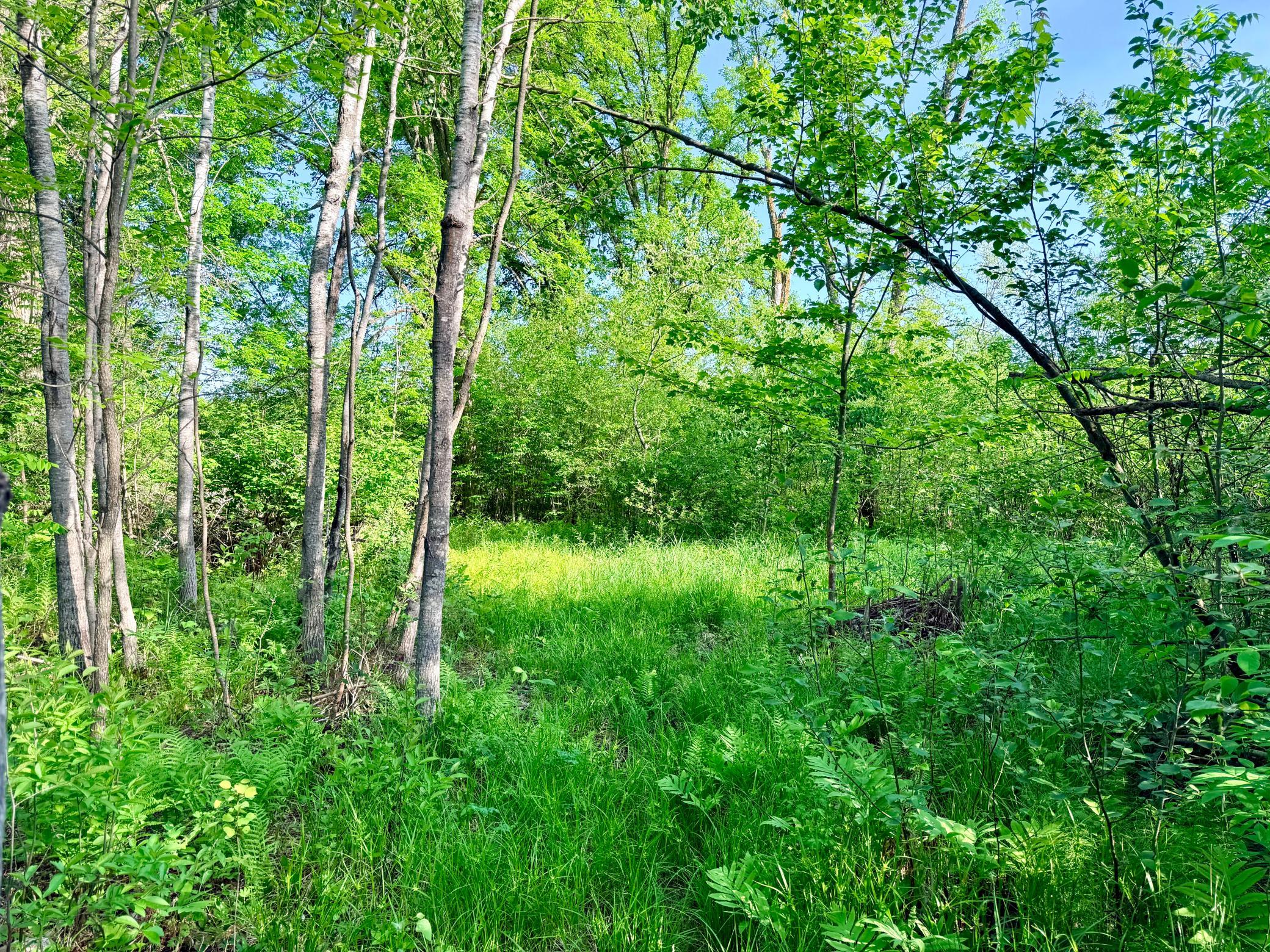 Tbd Highway 65 Property Photo 11