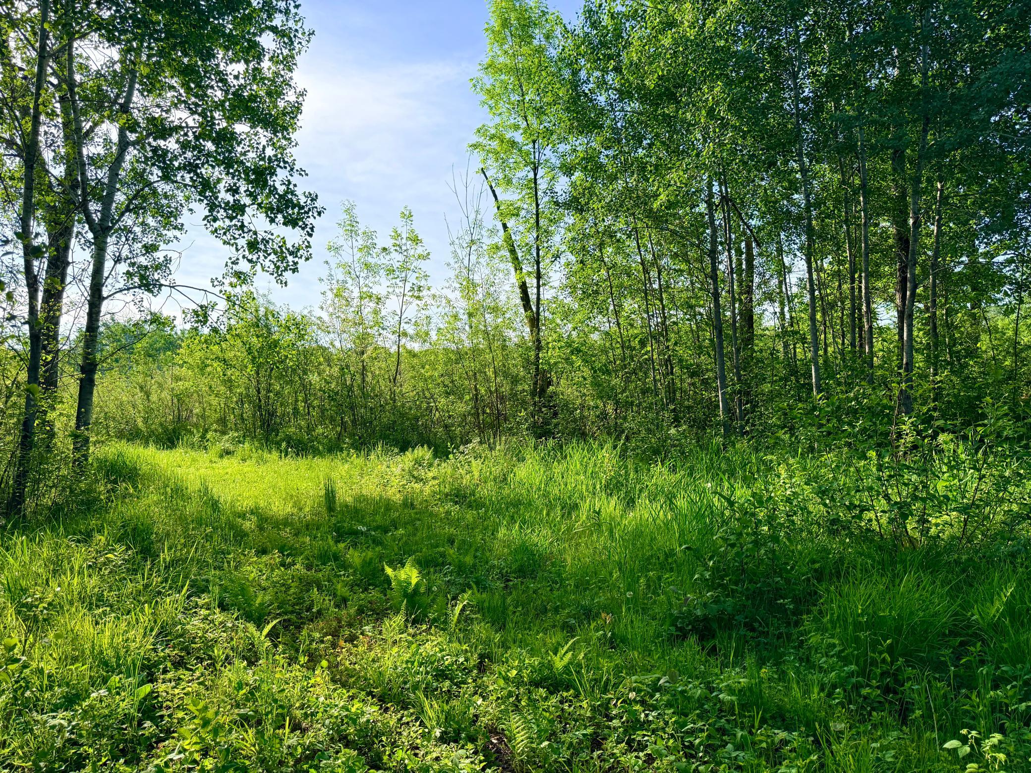 Tbd Highway 65 Property Photo 12