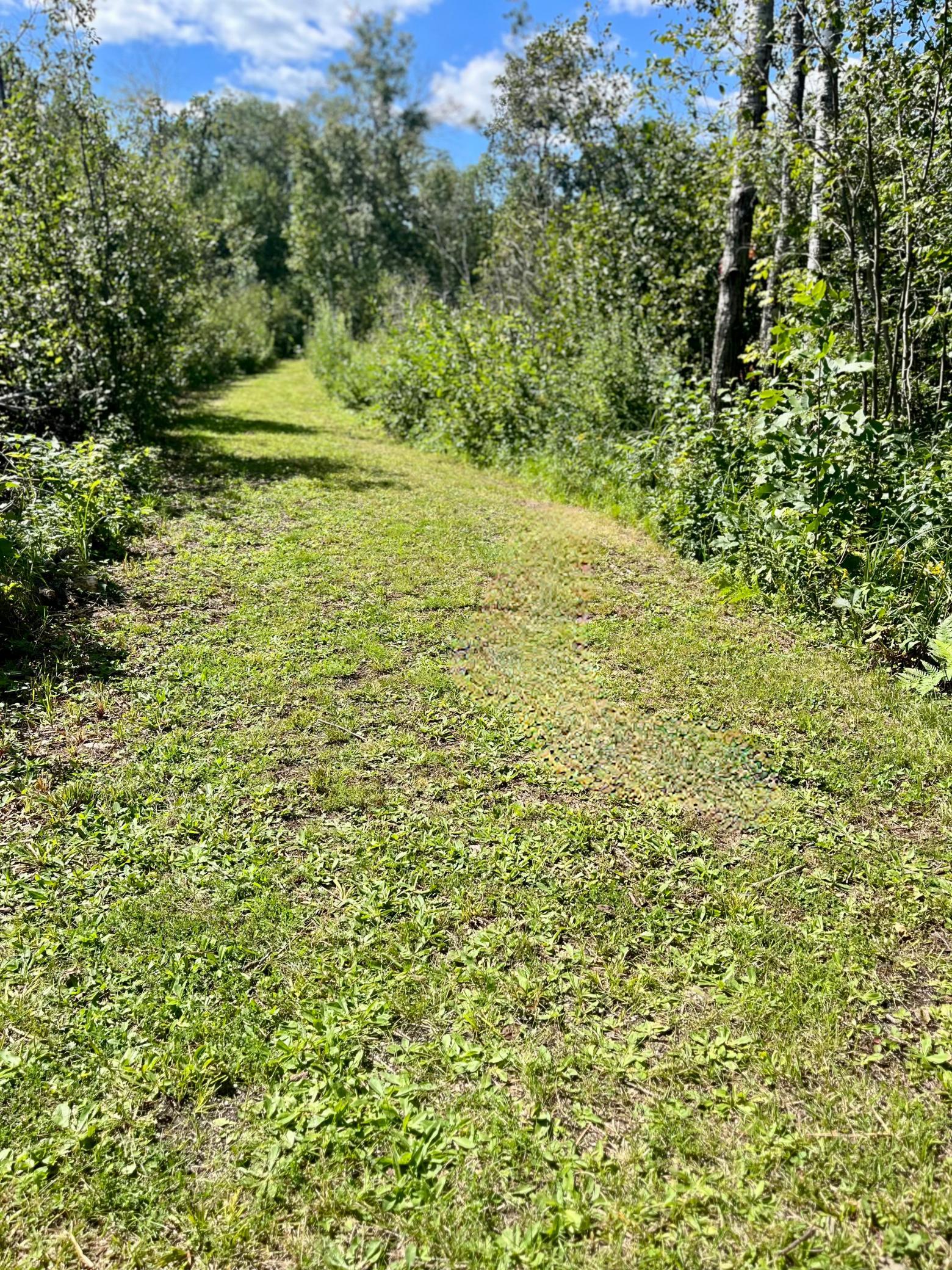 Tbd Highway 65 Property Photo 12