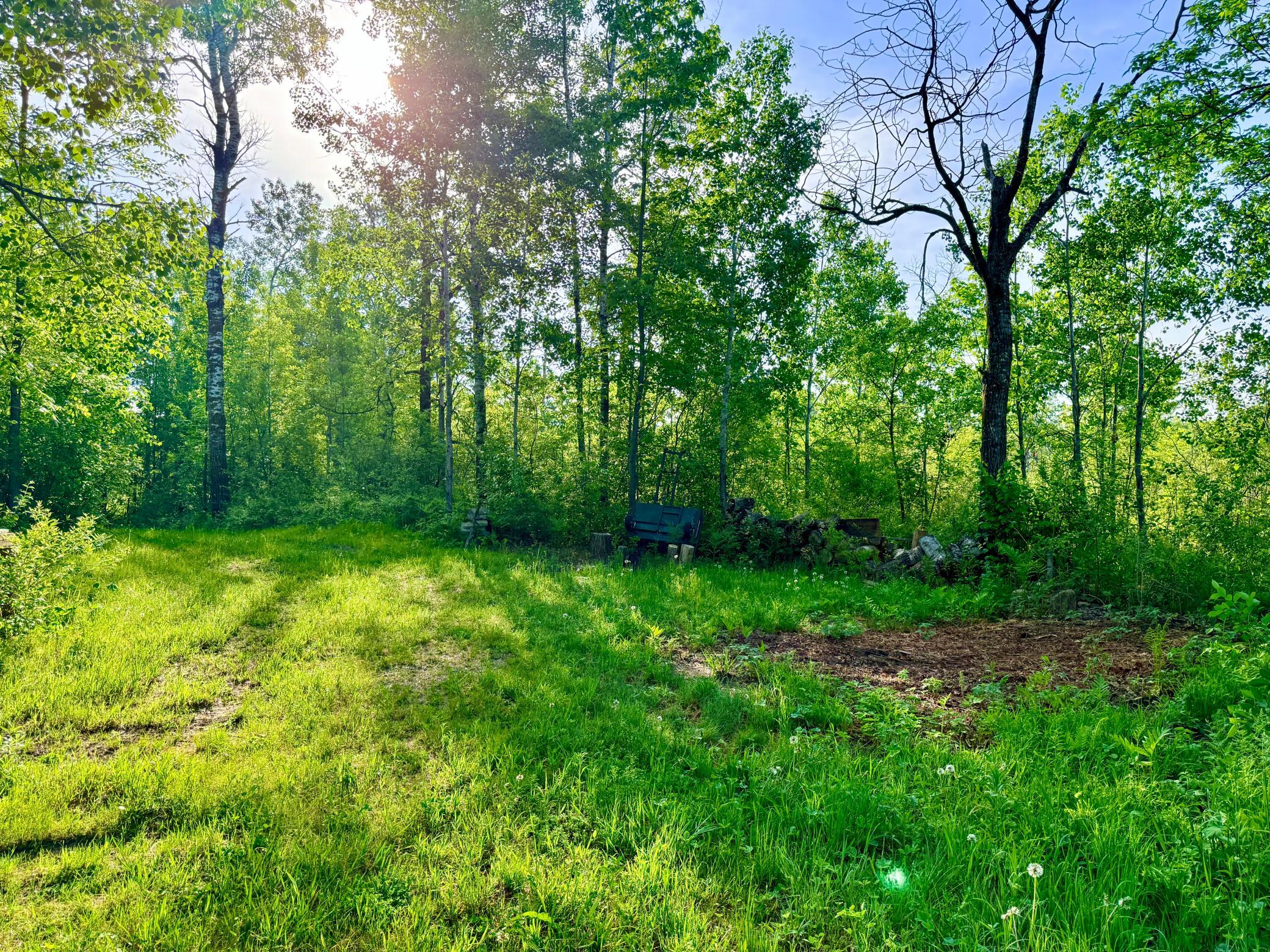 Tbd Highway 65 Property Photo 14