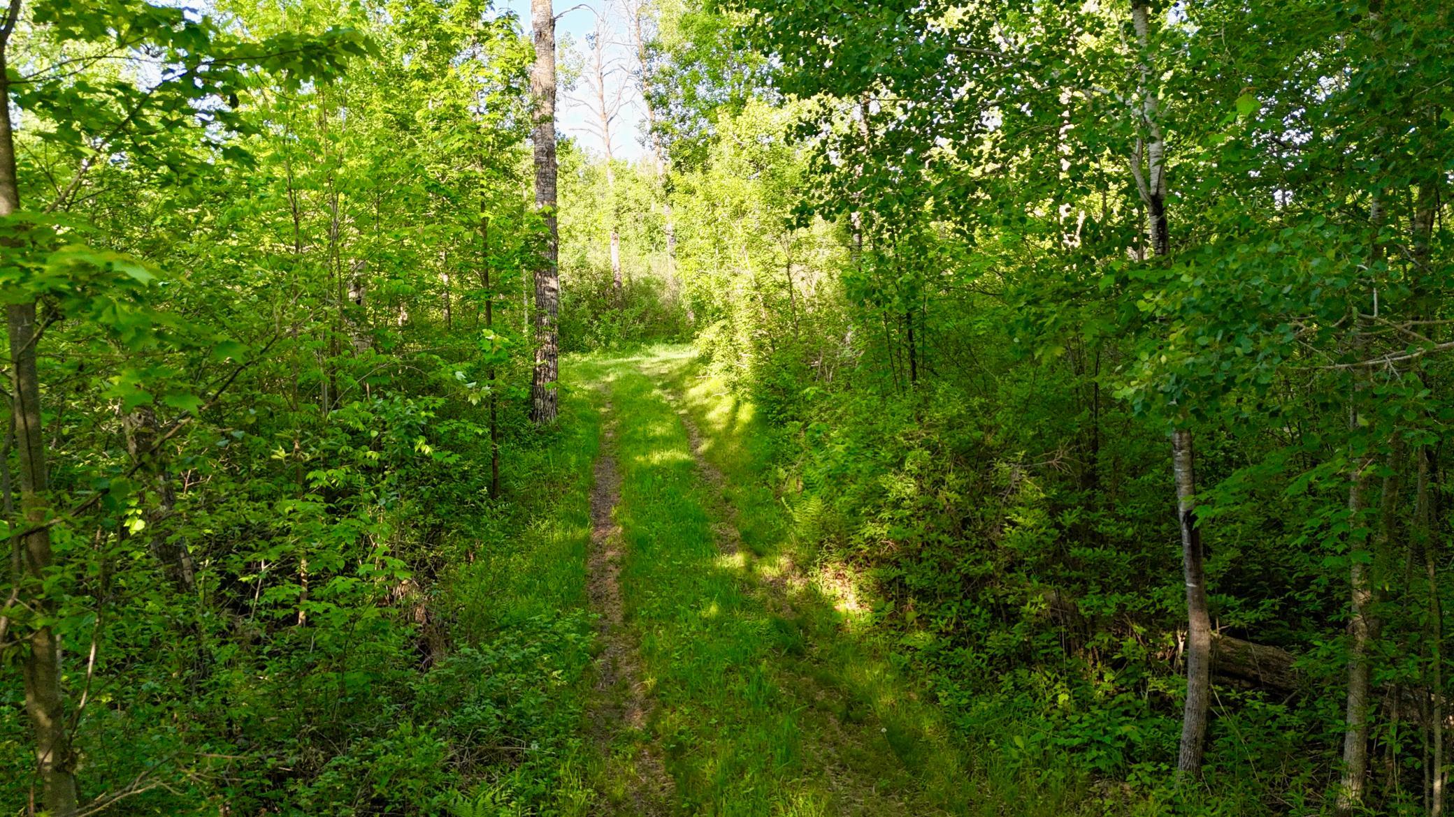 Tbd Highway 65 Property Photo 17