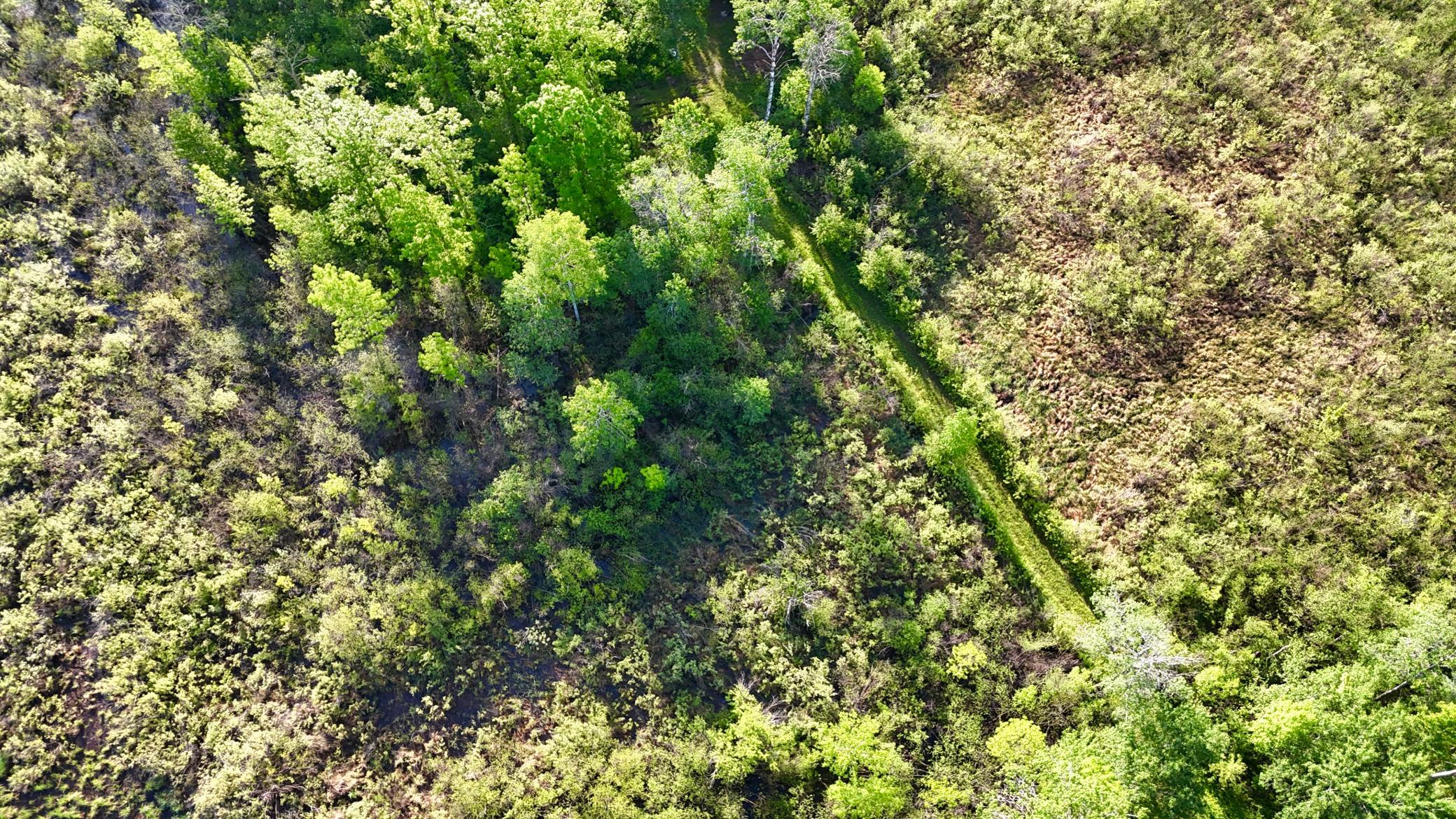 Tbd Highway 65 Property Photo 18