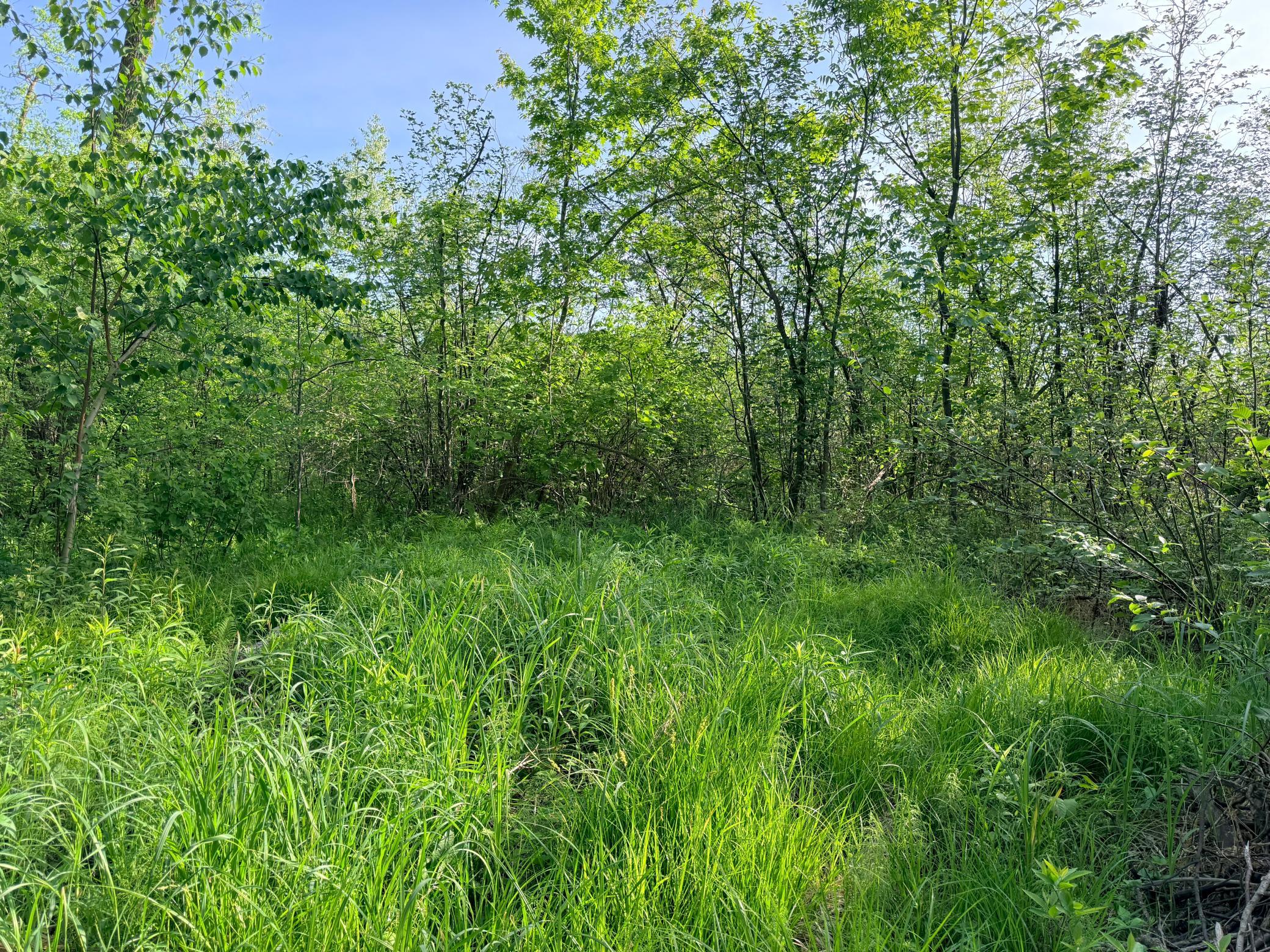 Tbd Highway 65 Property Photo 19