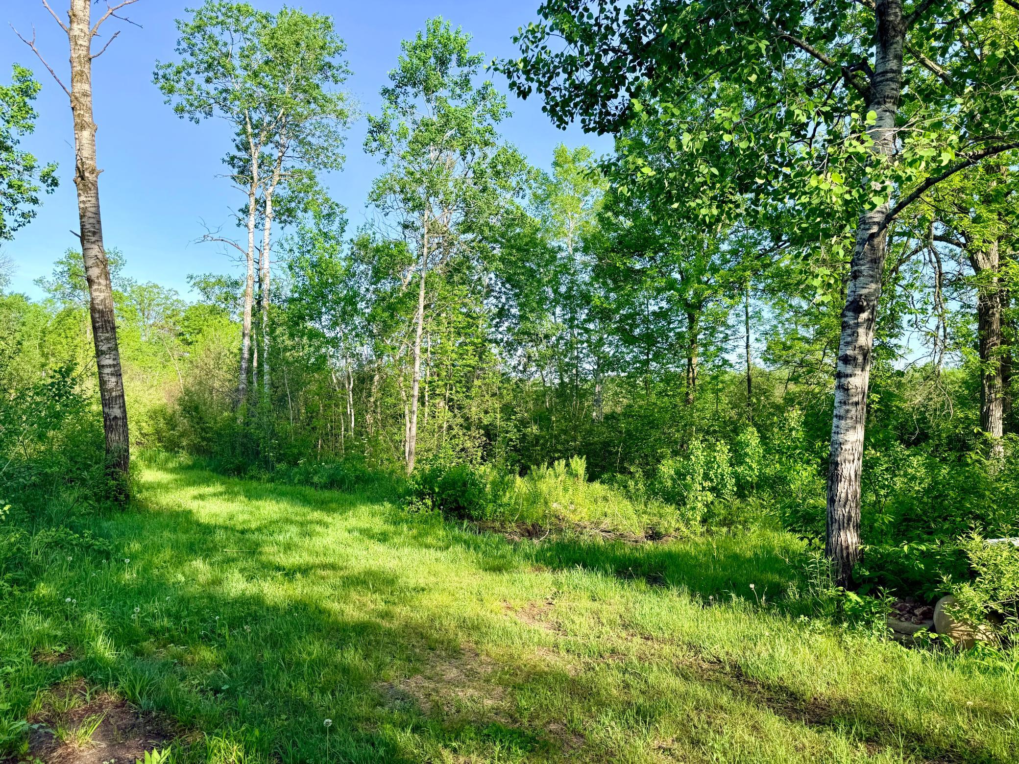 Tbd Highway 65 Property Photo 21