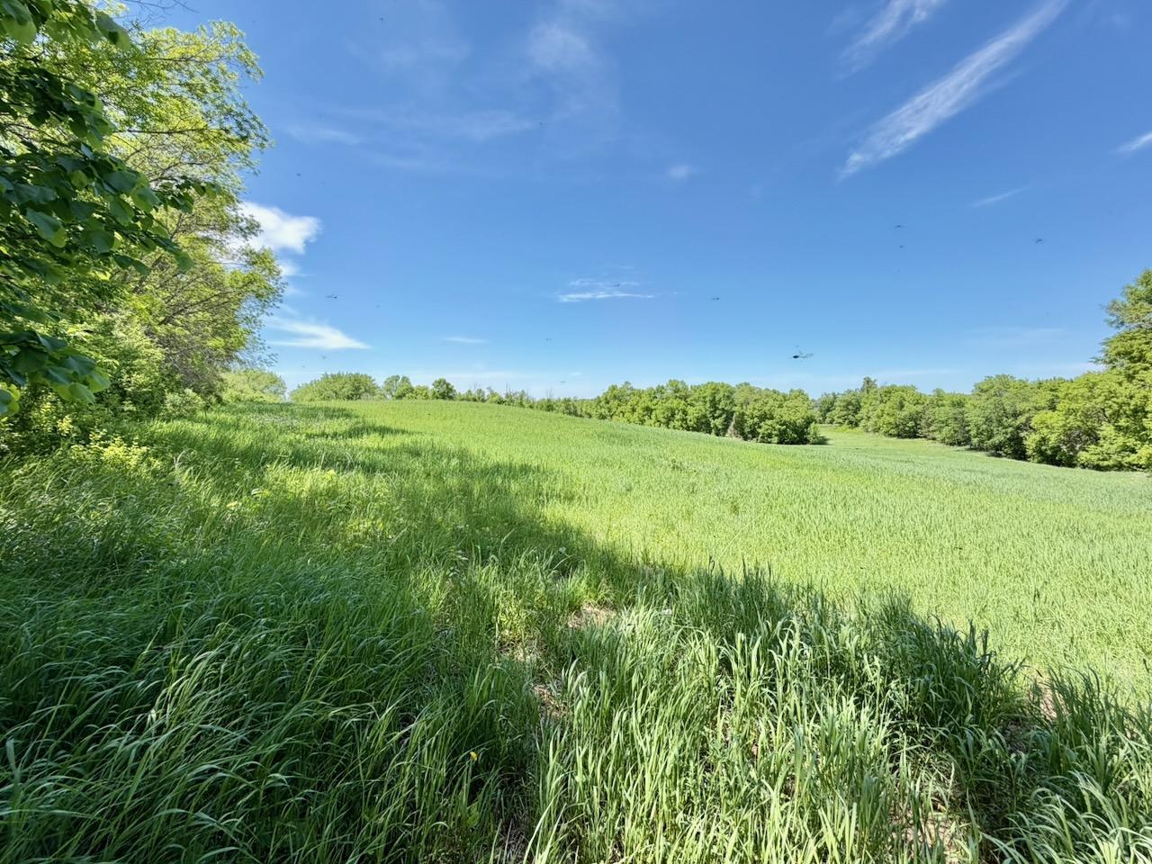 44662 County Highway 31 Property Photo 113