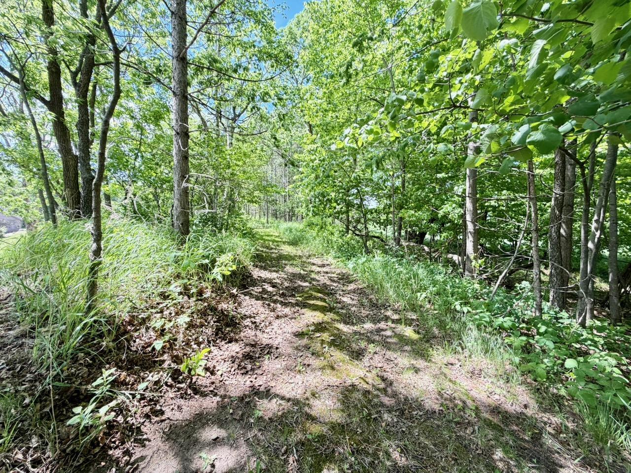 44662 County Highway 31 Property Photo 115