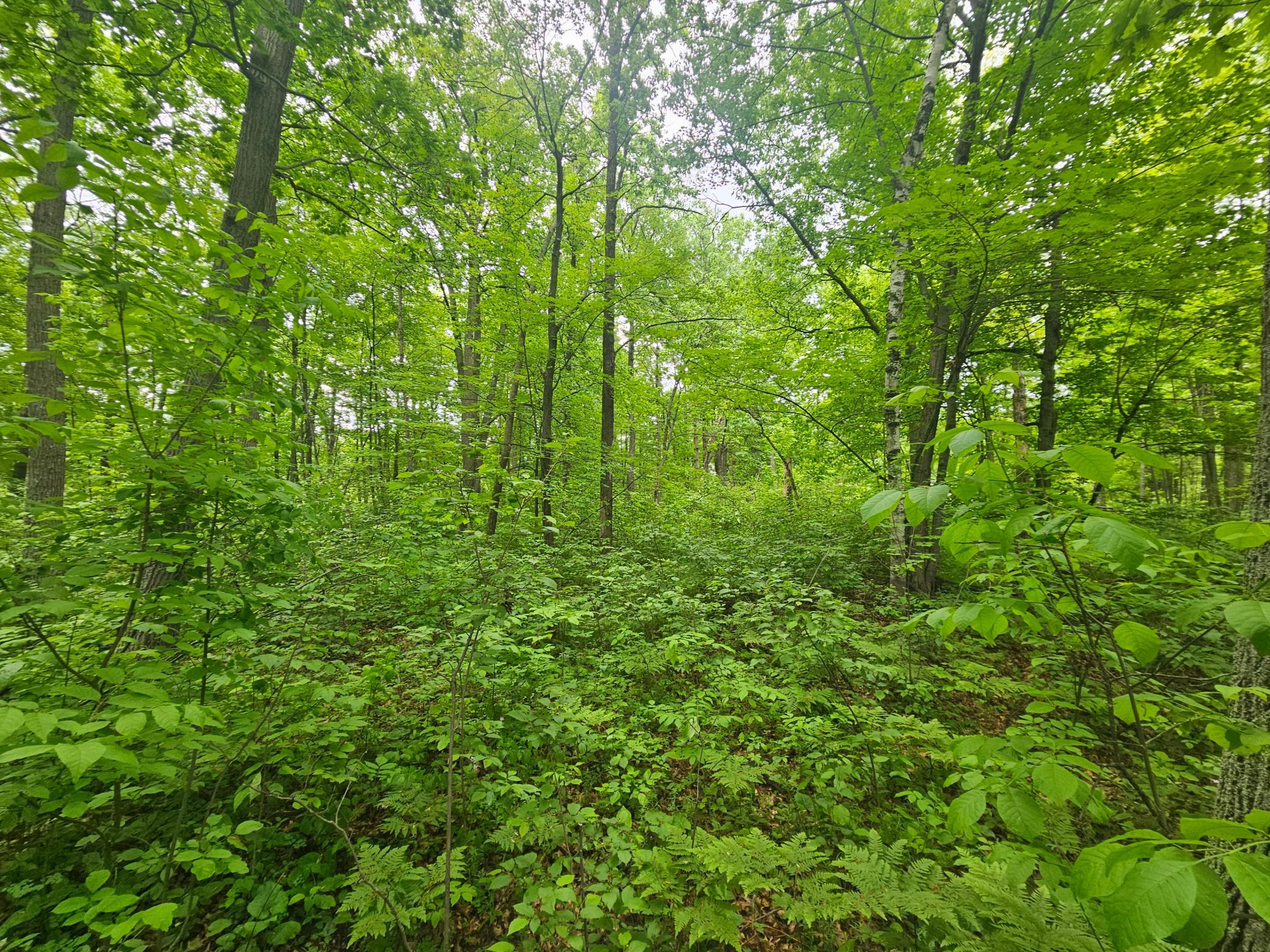 Tbd Broadway St. Property Photo 6