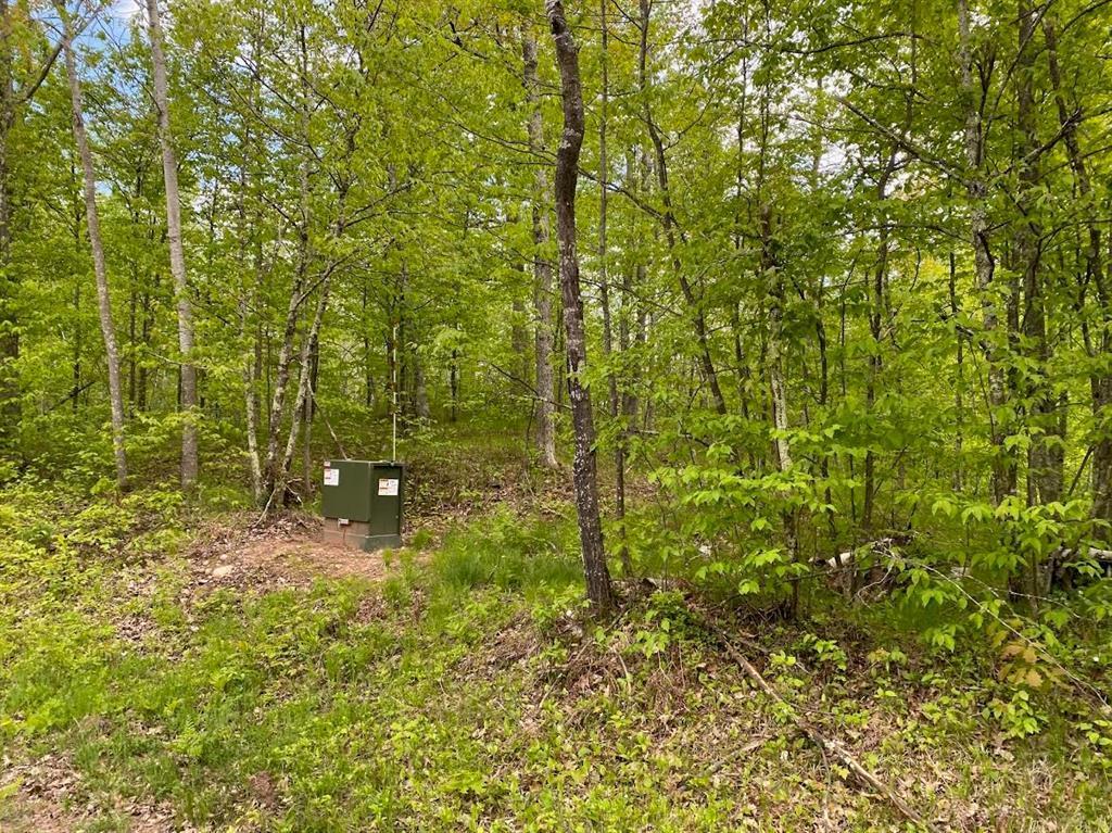 Lot 8 Hustvet Property Photo 1