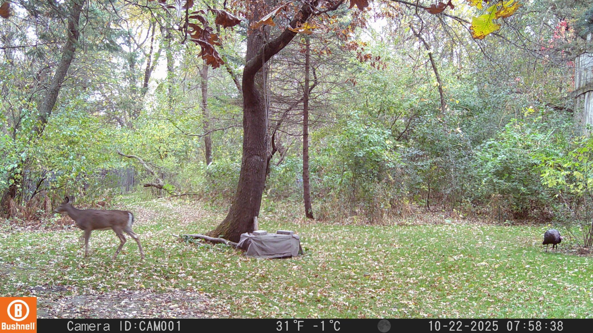 5633 Saint Mary Drive Nw Property Photo 68