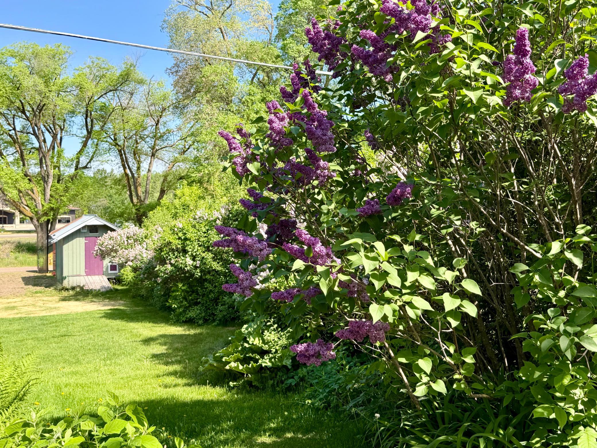 156 Lakeshore Drive Property Photo 61