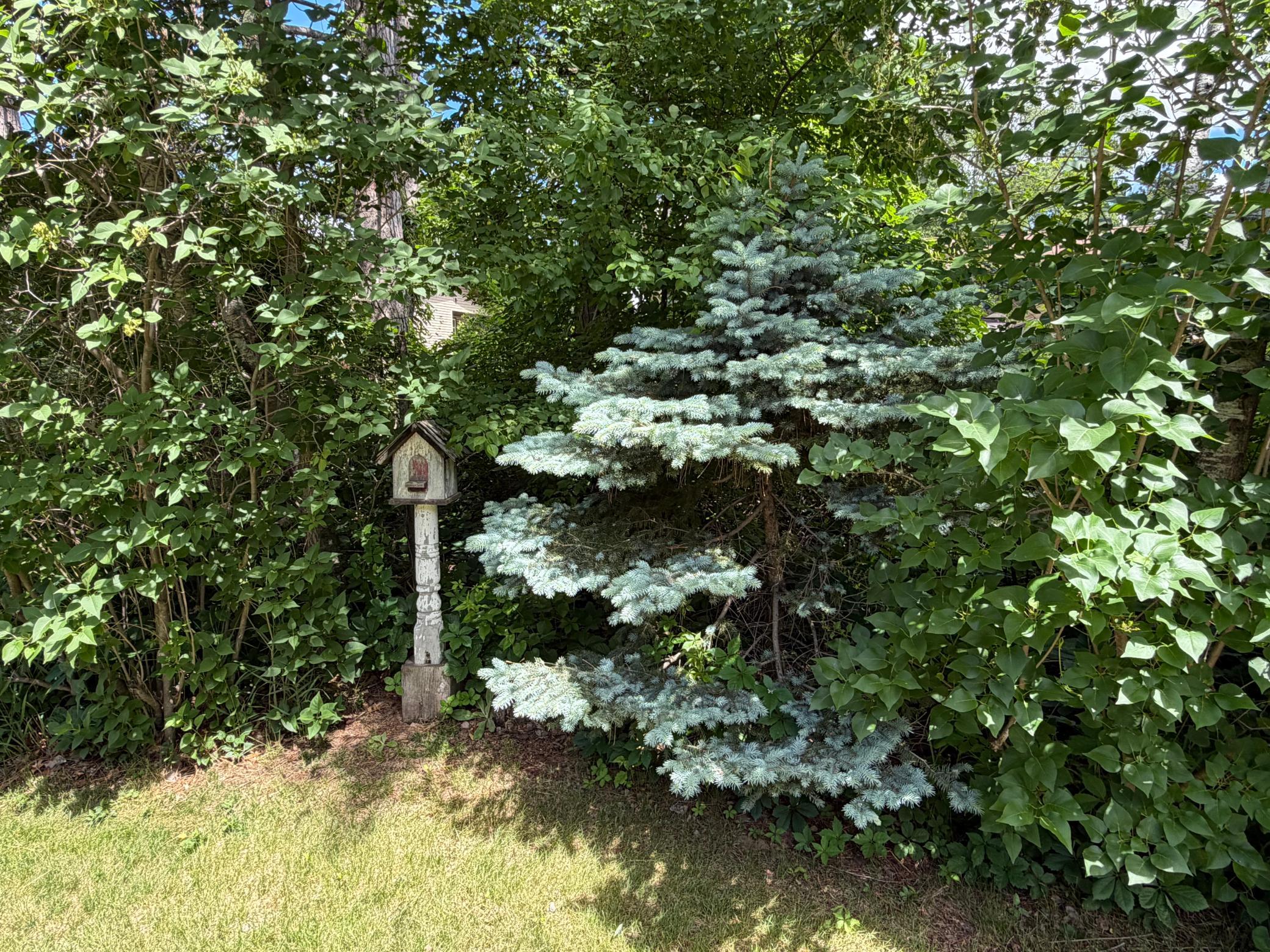 4474 Griffin Circle Property Photo 31