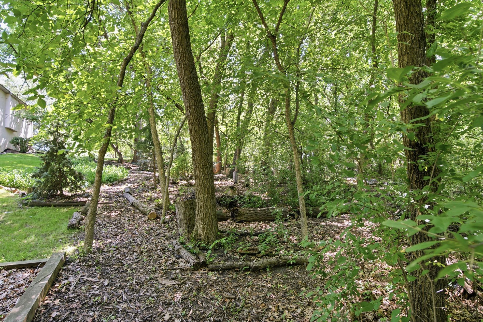 1900 Timber Ridge Drive Property Photo 52