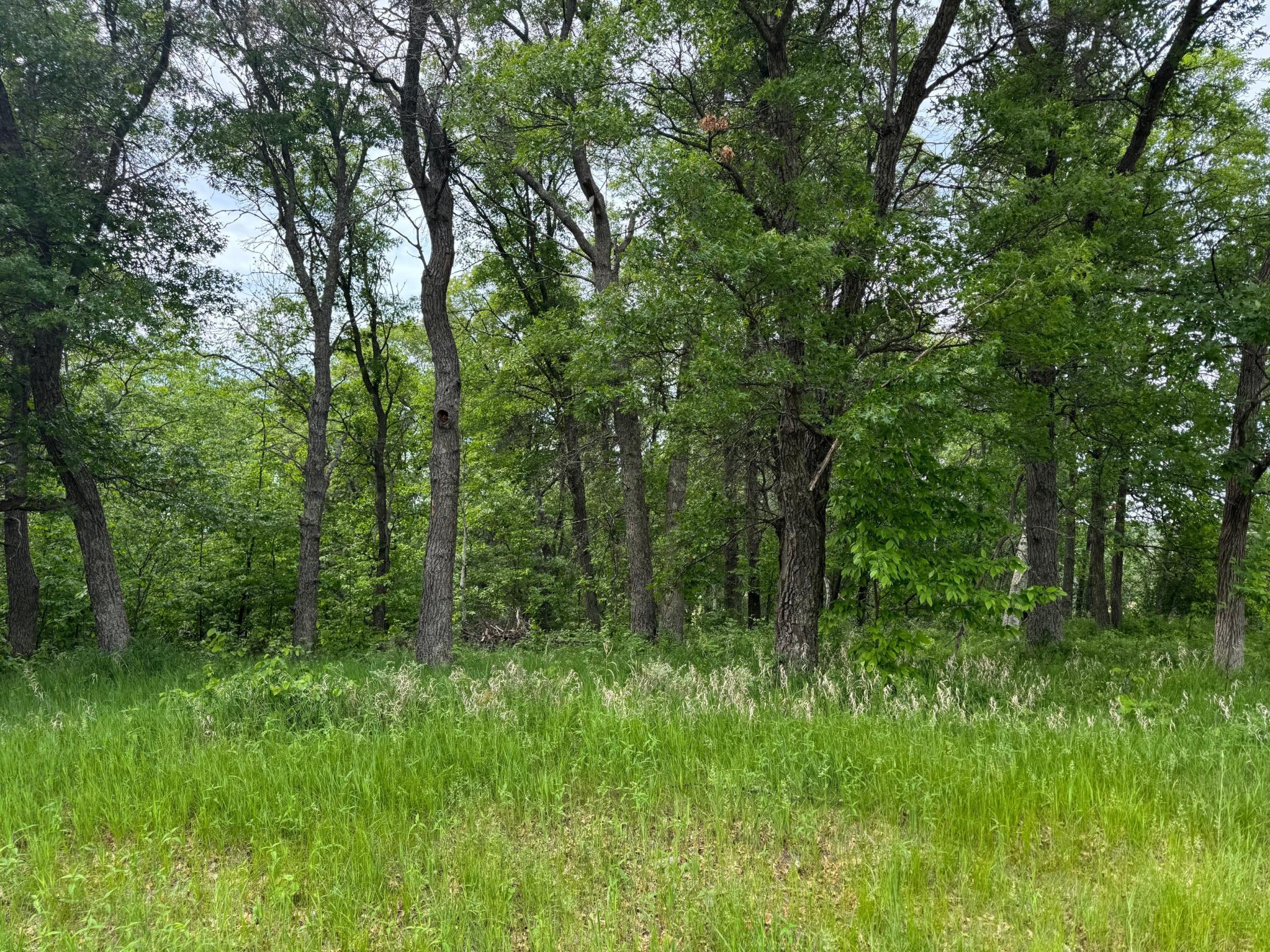 Tbd Pawnee Property Photo 2