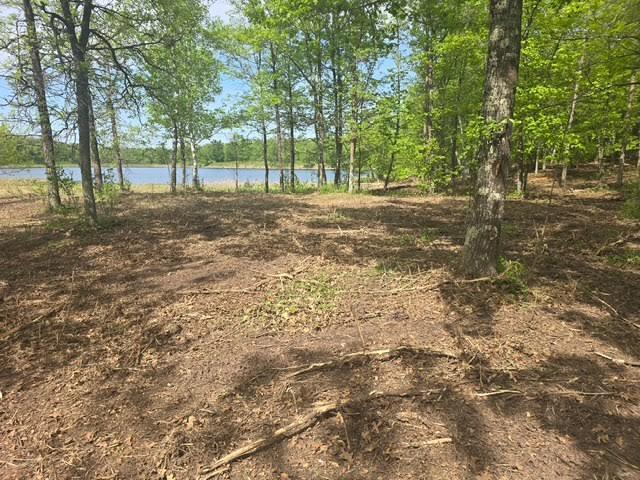 Lot 5 County Road 30 Property Photo 1