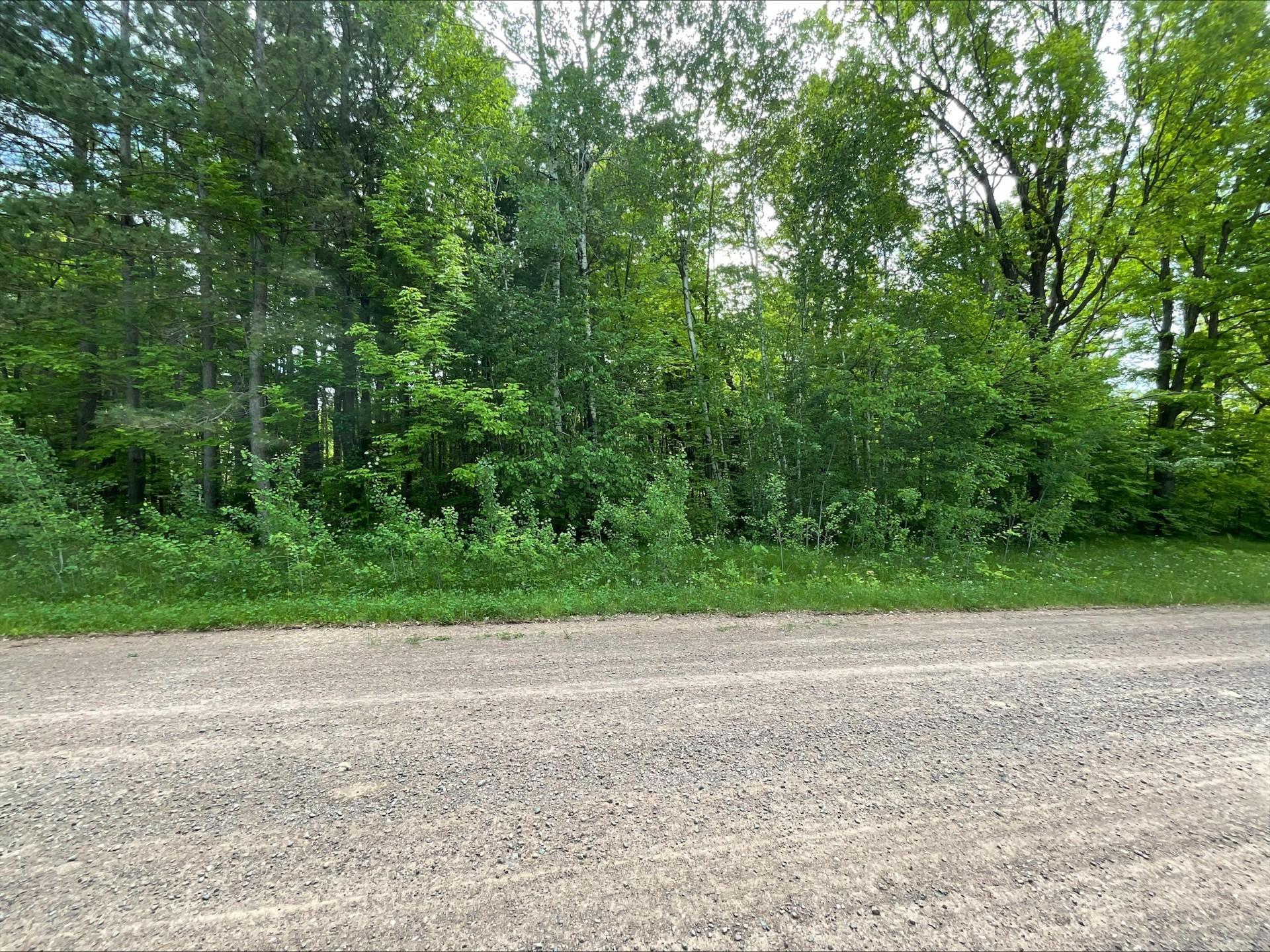 25945 Pine View Beach Trail Property Photo 1