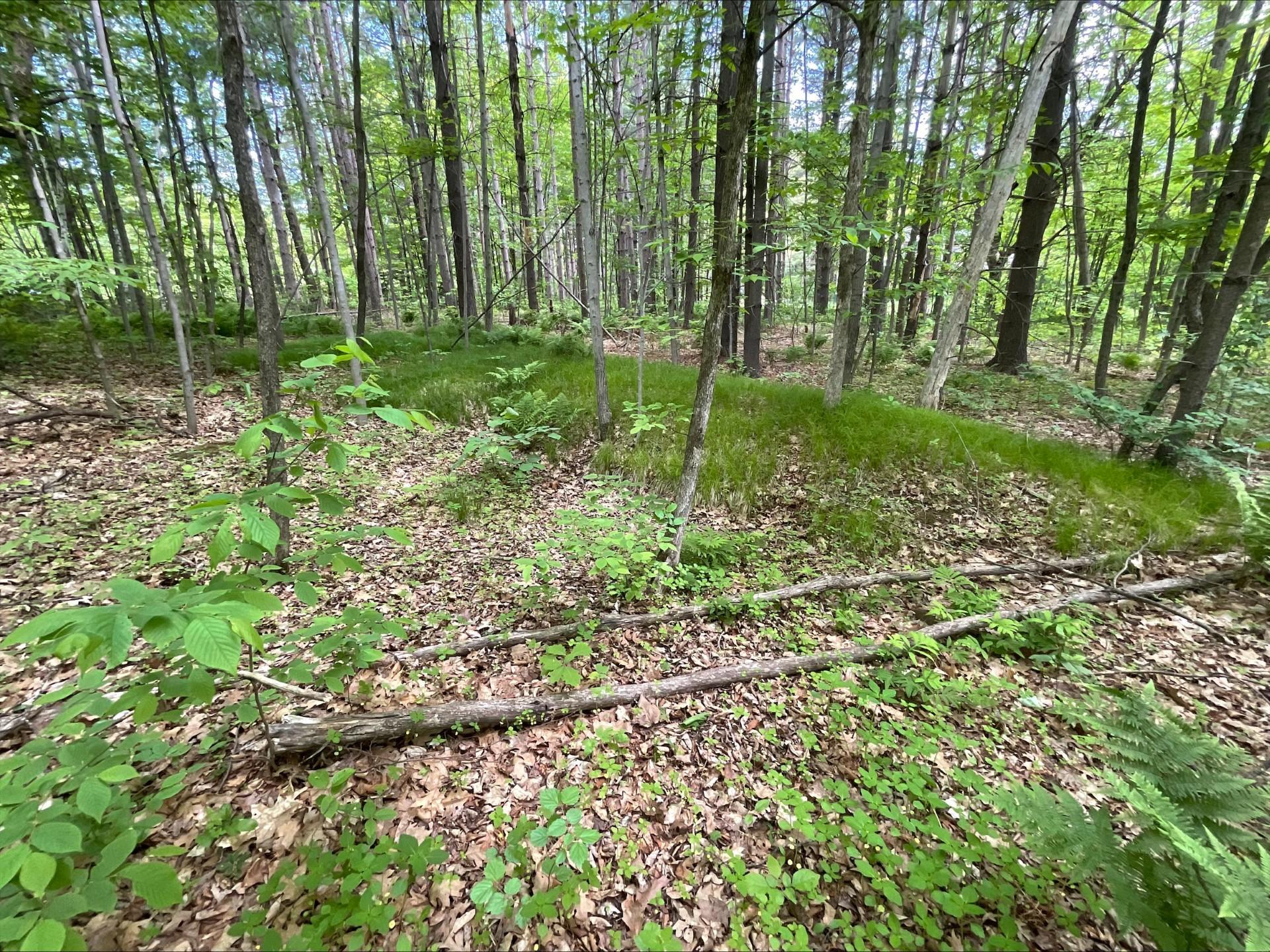 25945 Pine View Beach Trail Property Photo 6