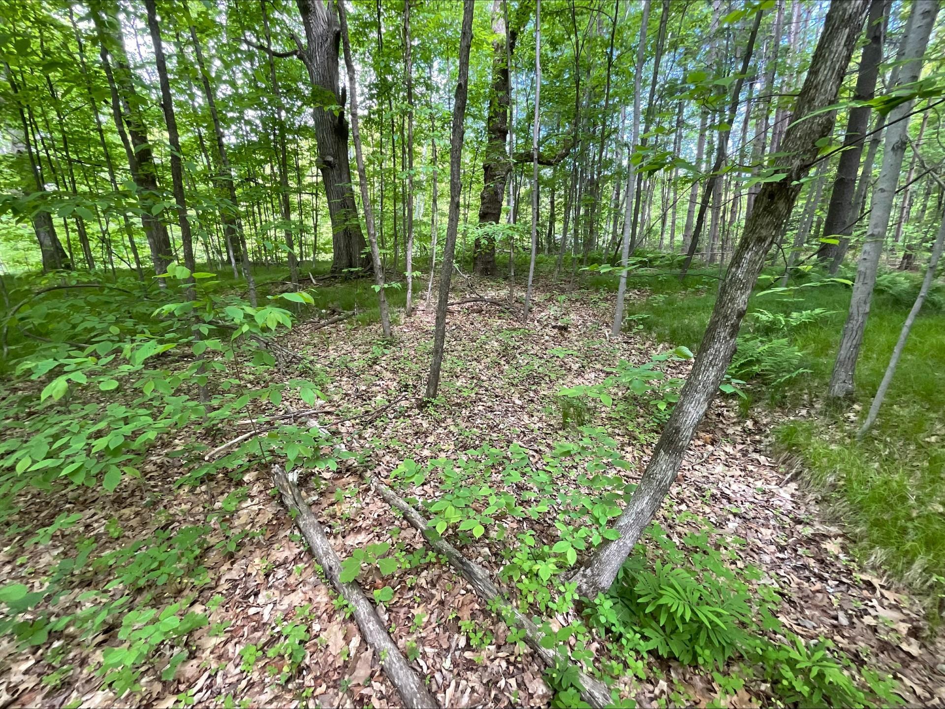25945 Pine View Beach Trail Property Photo 10
