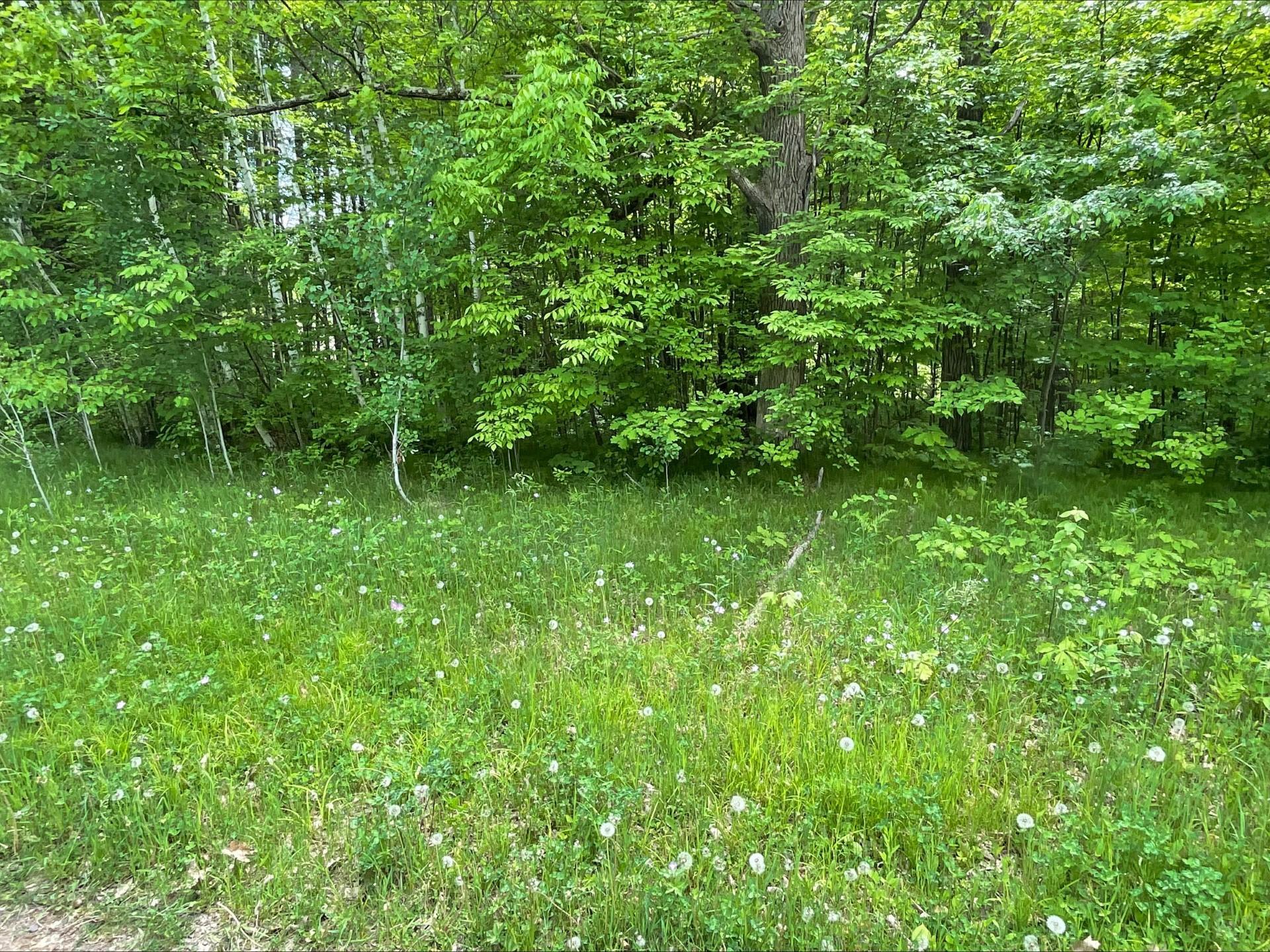 25945 Pine View Beach Trail Property Photo 11