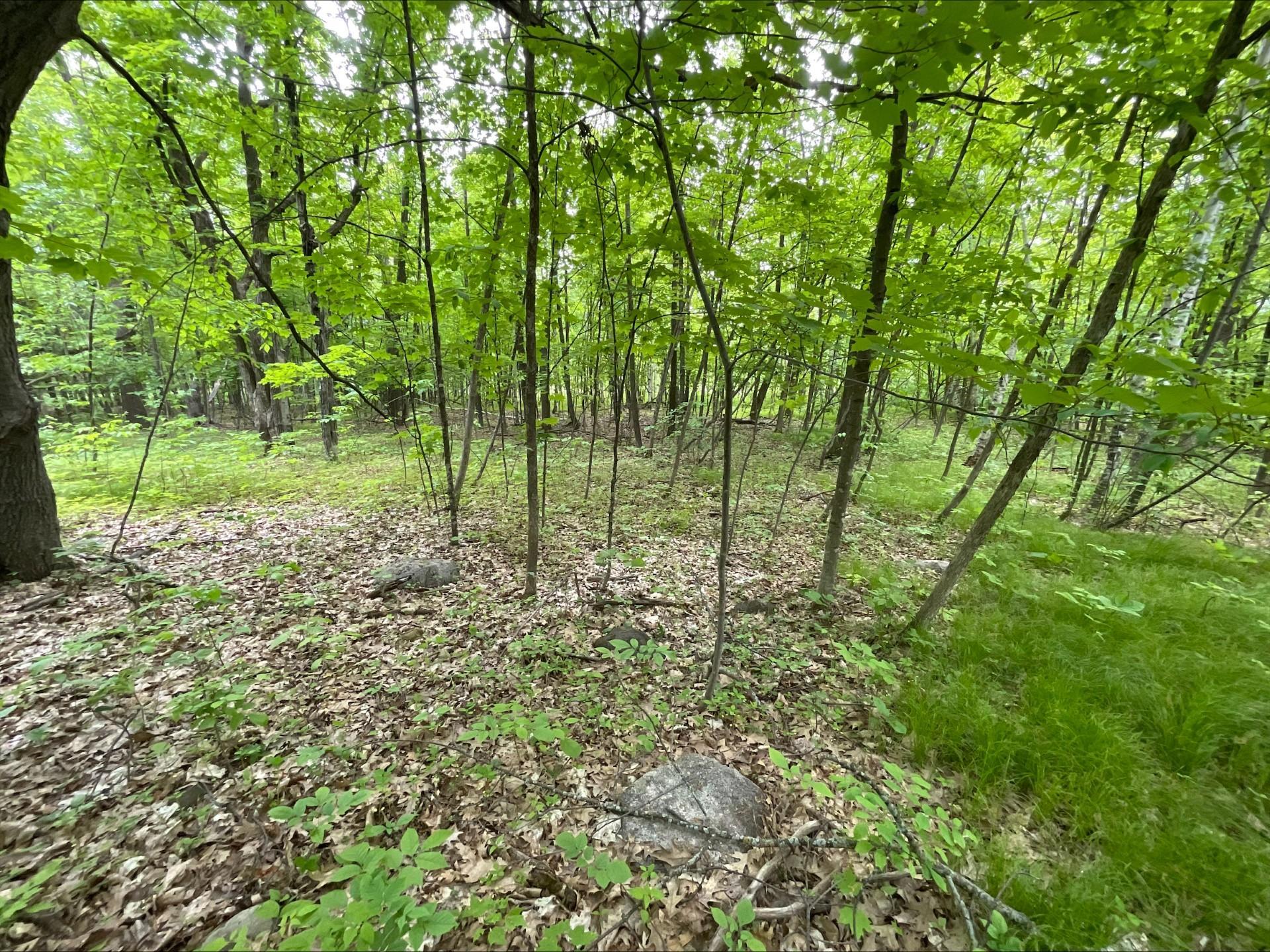 25945 Pine View Beach Trail Property Photo 13
