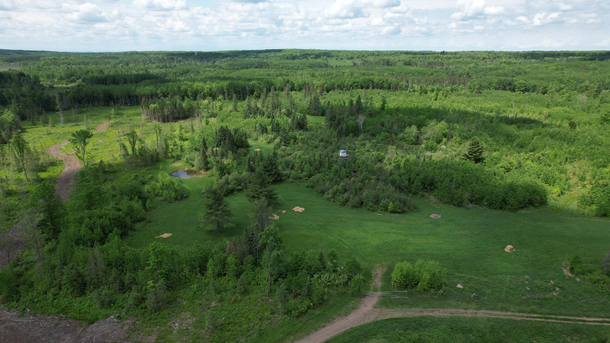 Tbd Skerbeck Road Property Photo 7