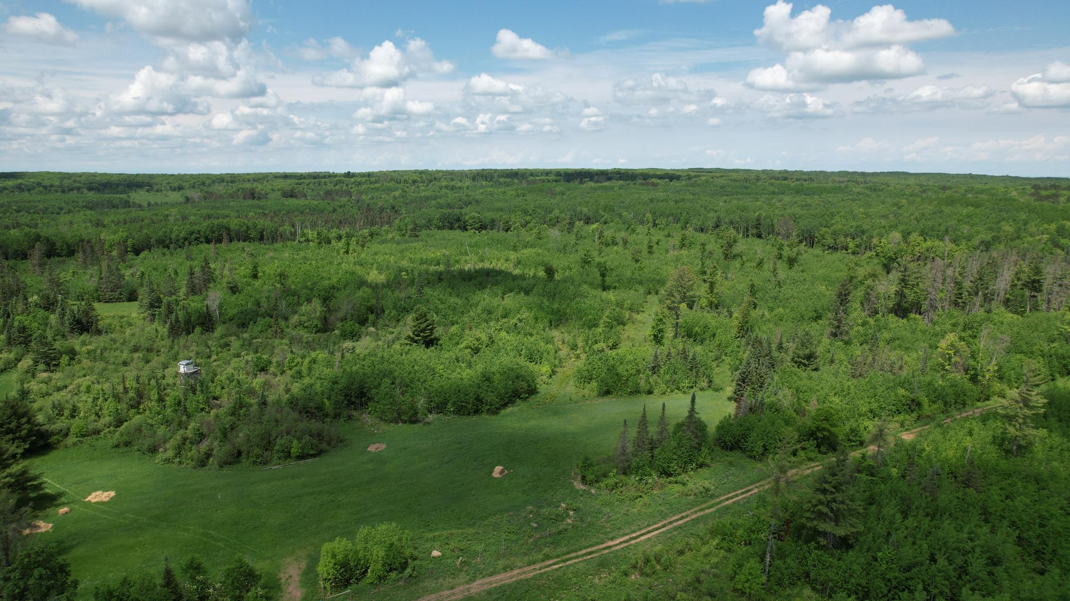 Tbd Skerbeck Road Property Photo 8