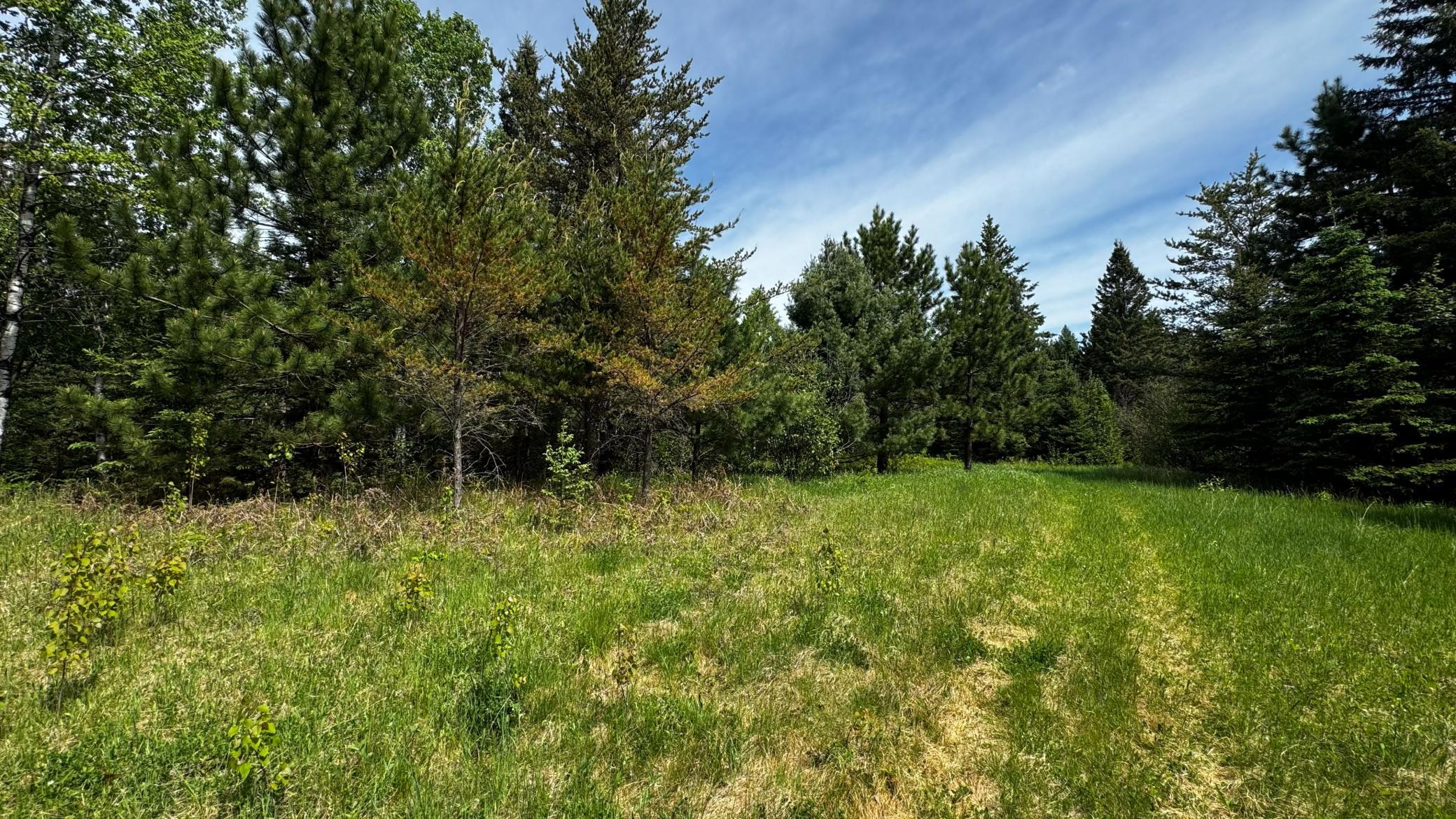 Tbd-b Hwy 169 Property Photo 5