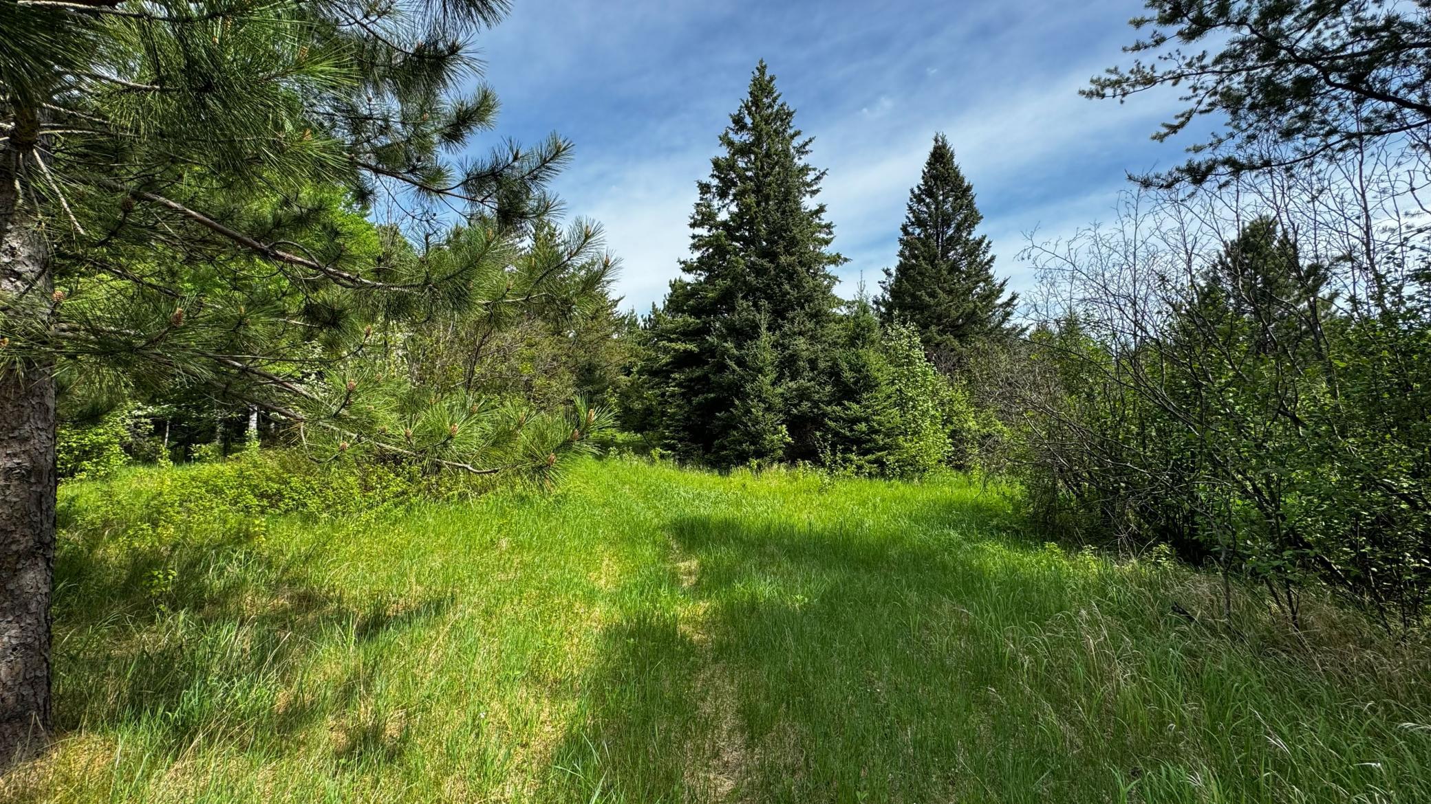 Tbd-b Hwy 169 Property Photo 7