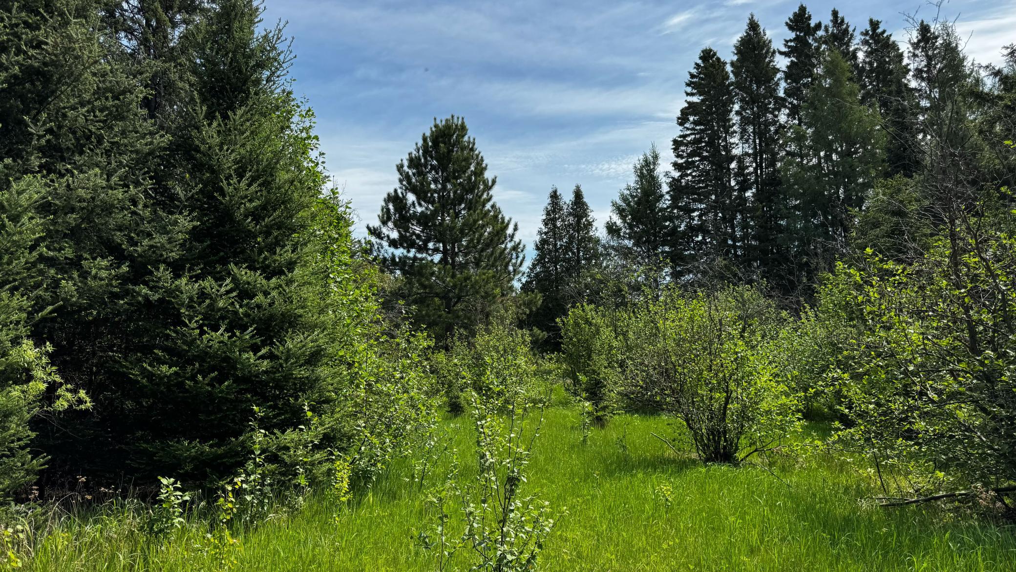 Tbd-b Hwy 169 Property Photo 8