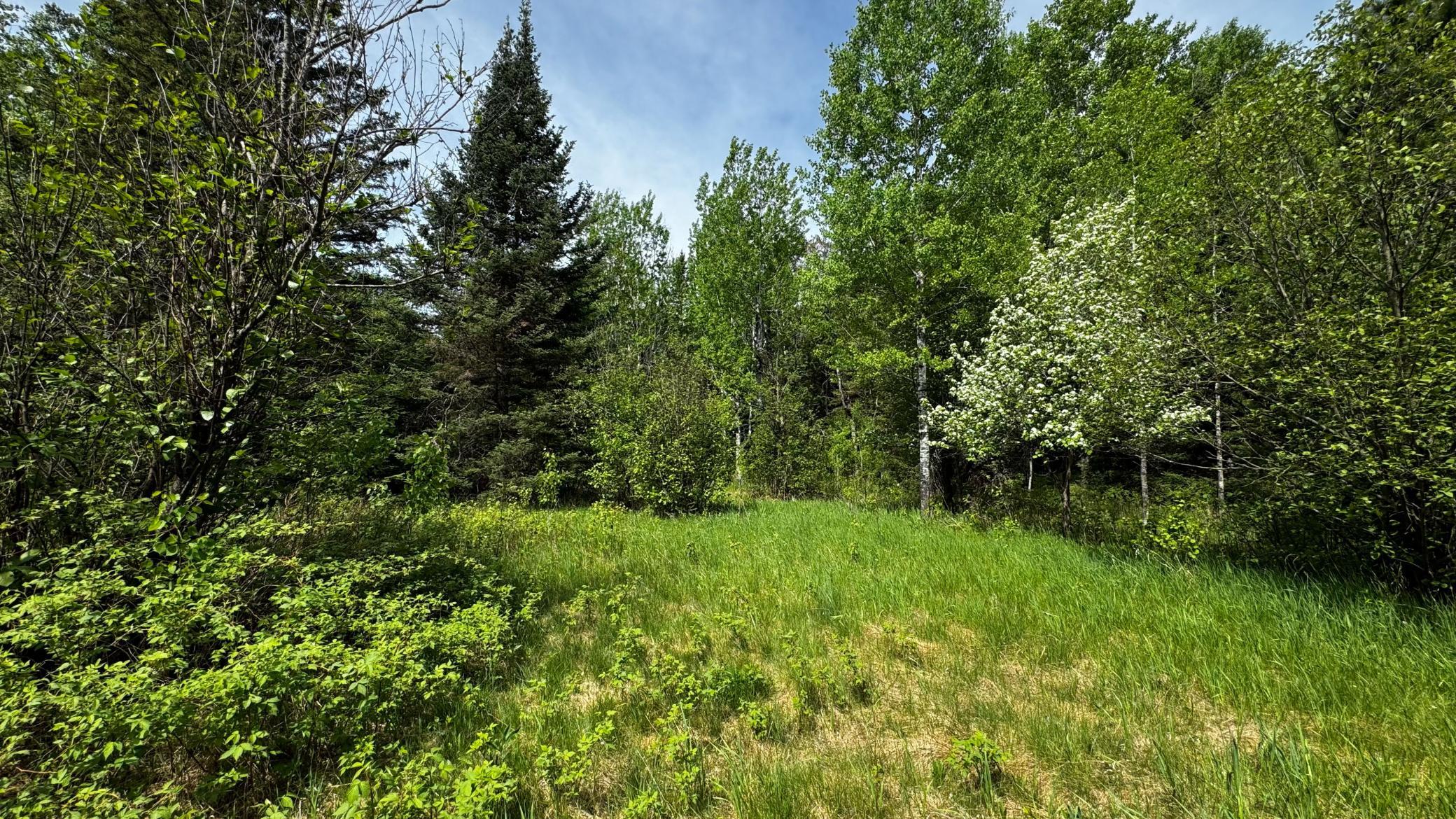 Tbd-b Hwy 169 Property Photo 10