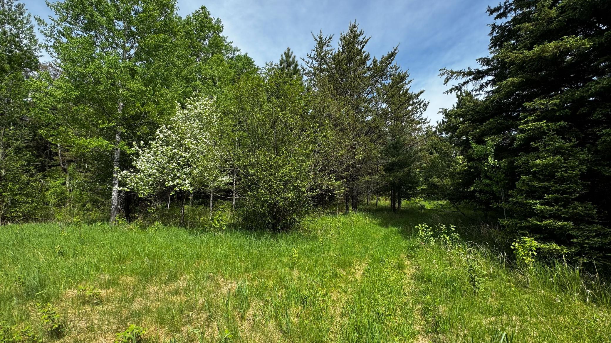 Tbd-b Hwy 169 Property Photo 11