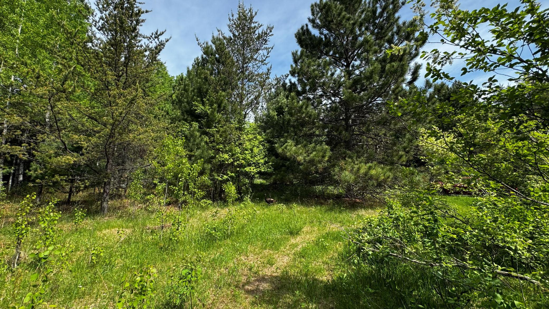 Tbd-b Hwy 169 Property Photo 12