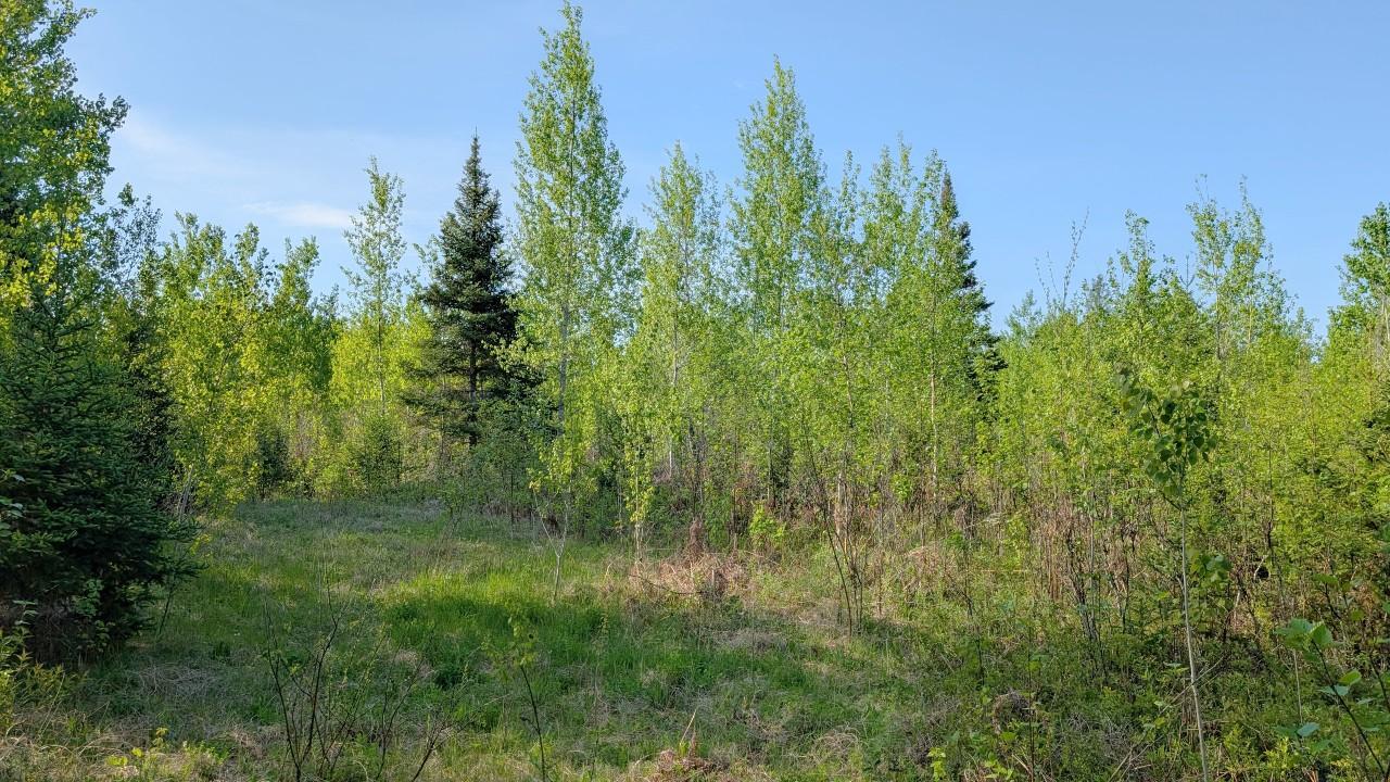 7573 Thumbnail Drive Property Photo 1