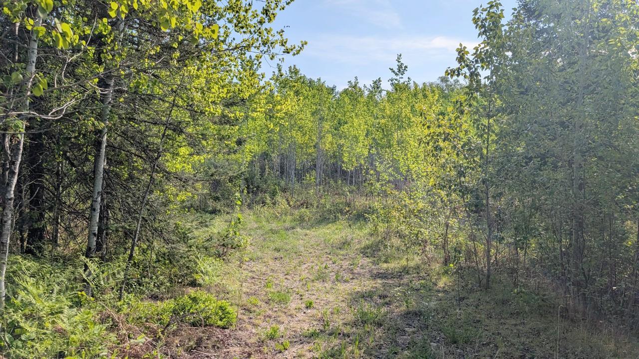 7573 Thumbnail Drive Property Photo 3