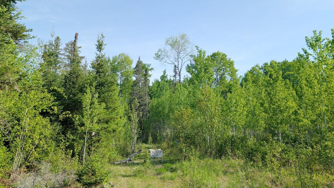 7573 Thumbnail Drive Property Photo 4