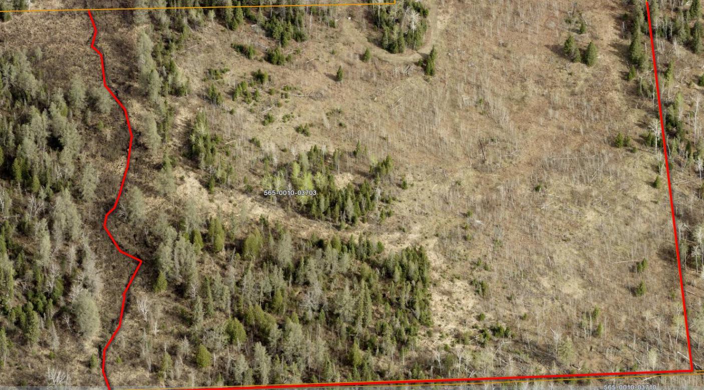 7573 Thumbnail Drive Property Photo 5