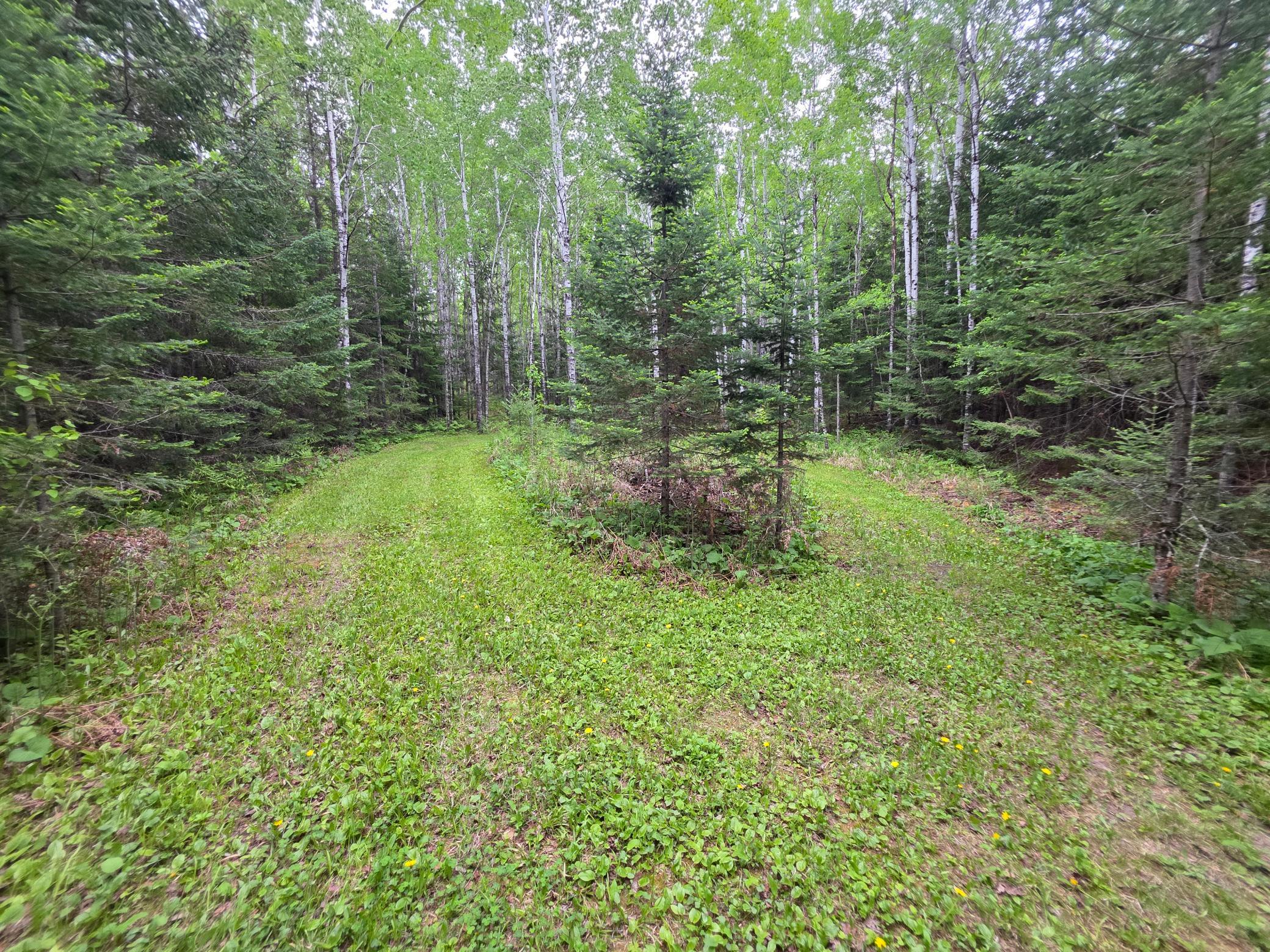 11679 Lakeshore Drive Property Photo 60