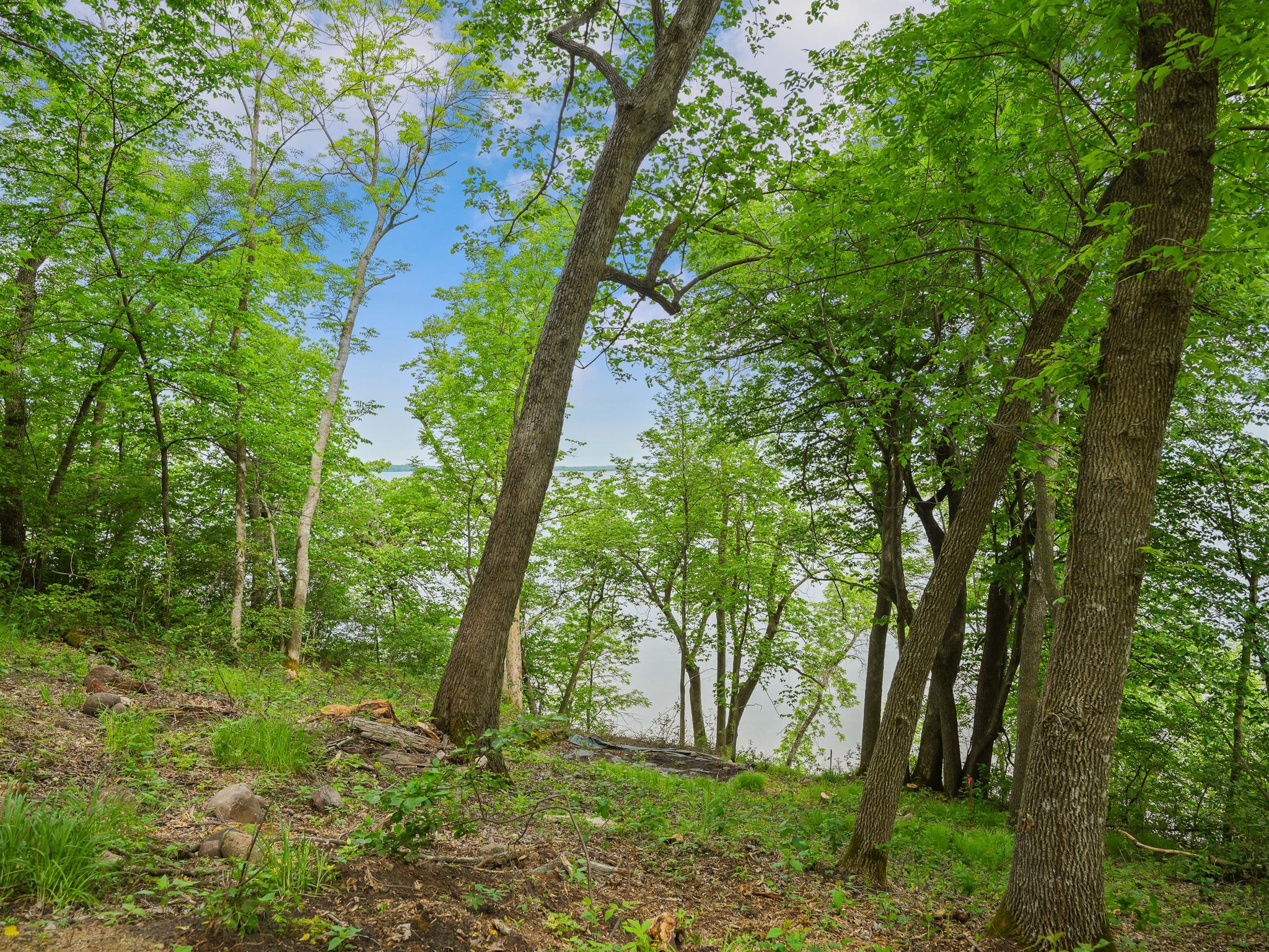 483xx Squaw Point Trl Property Photo 20