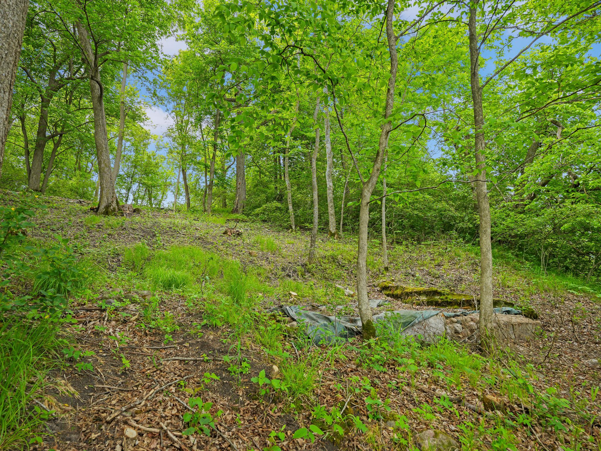 483xx Squaw Point Trl Property Photo 23