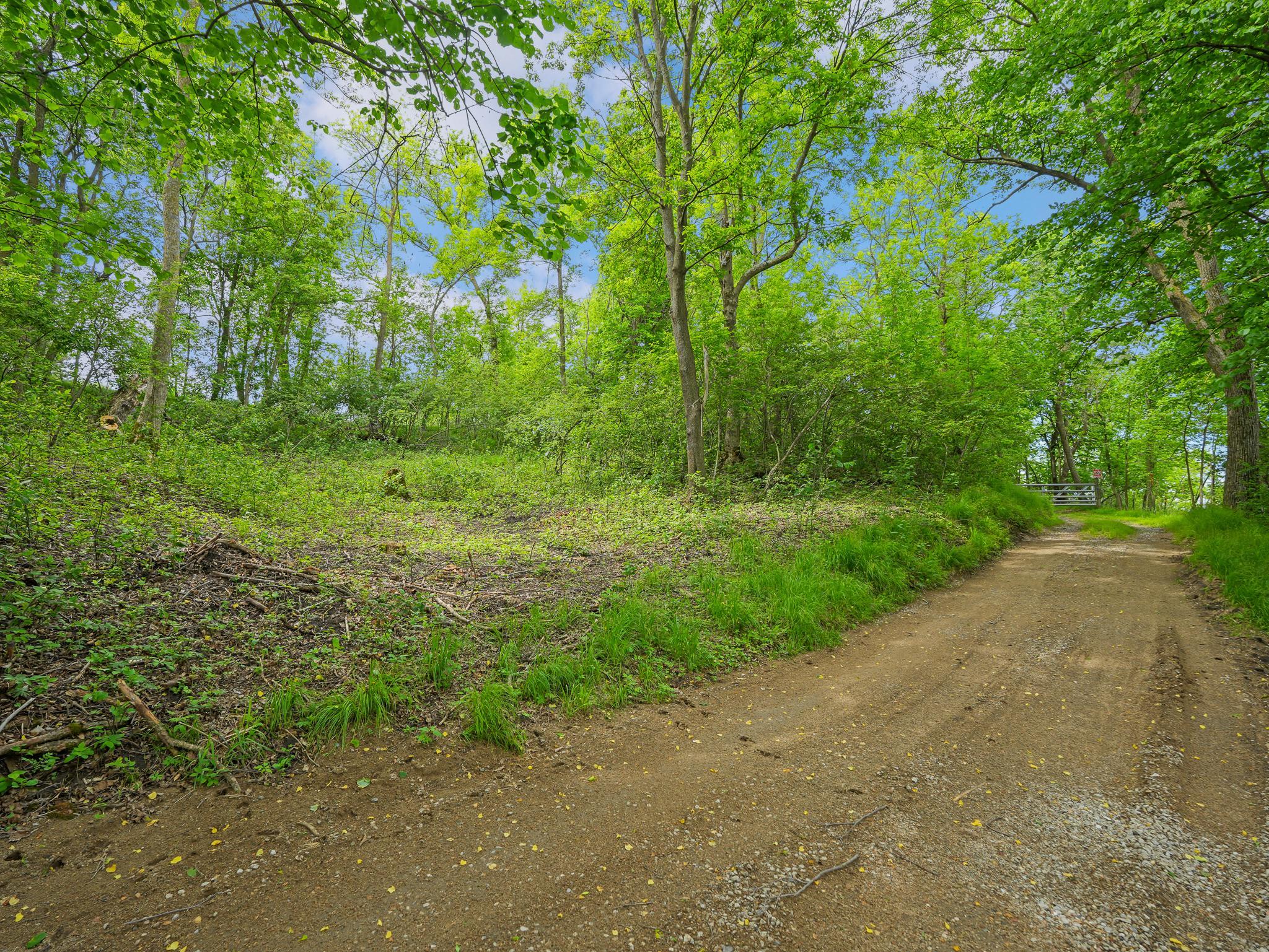 483xx Squaw Point Trl Property Photo 24