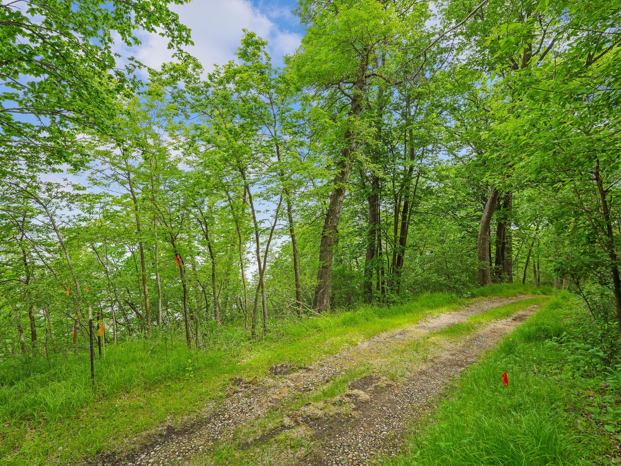 483xx Squaw Point Trl Property Photo 25