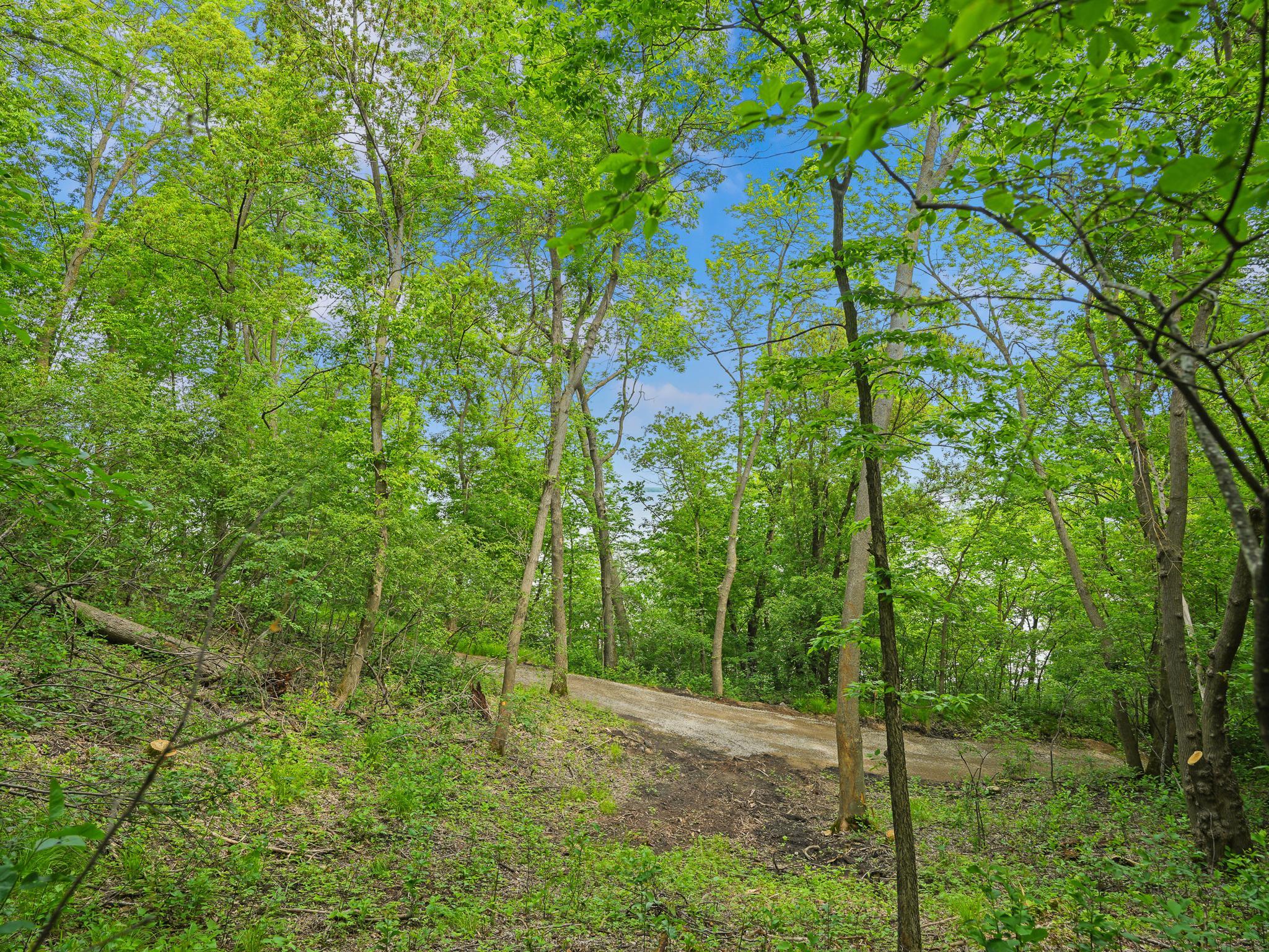 483xx Squaw Point Trl Property Photo 26
