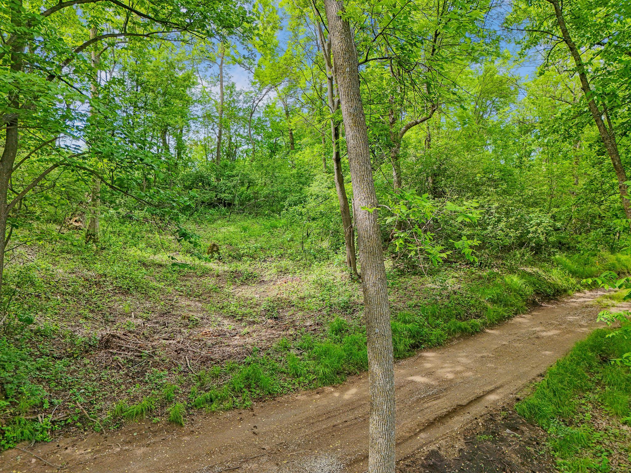483xx Squaw Point Trl Property Photo 27