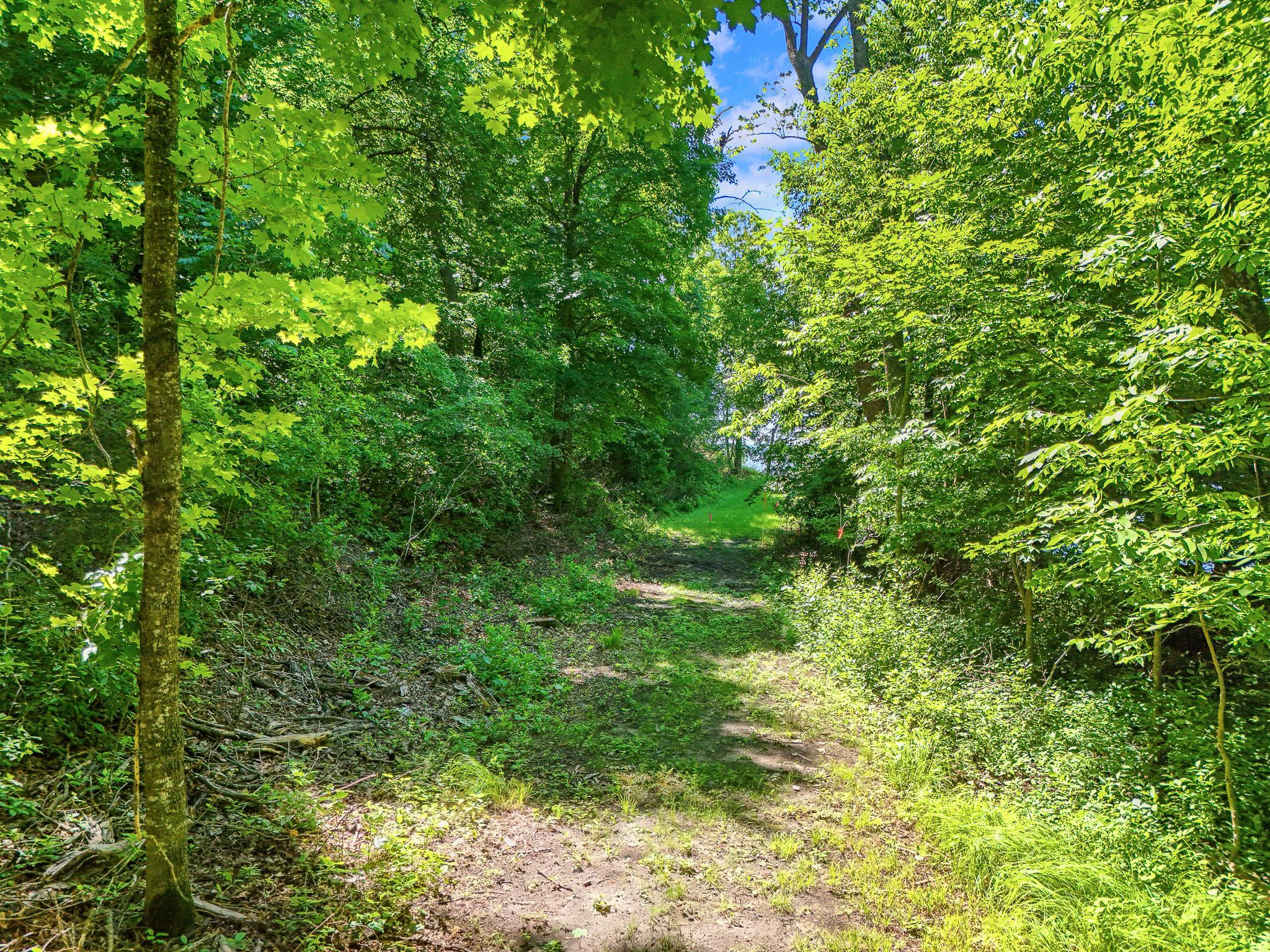 48410 Squaw Point Trl Property Photo 6