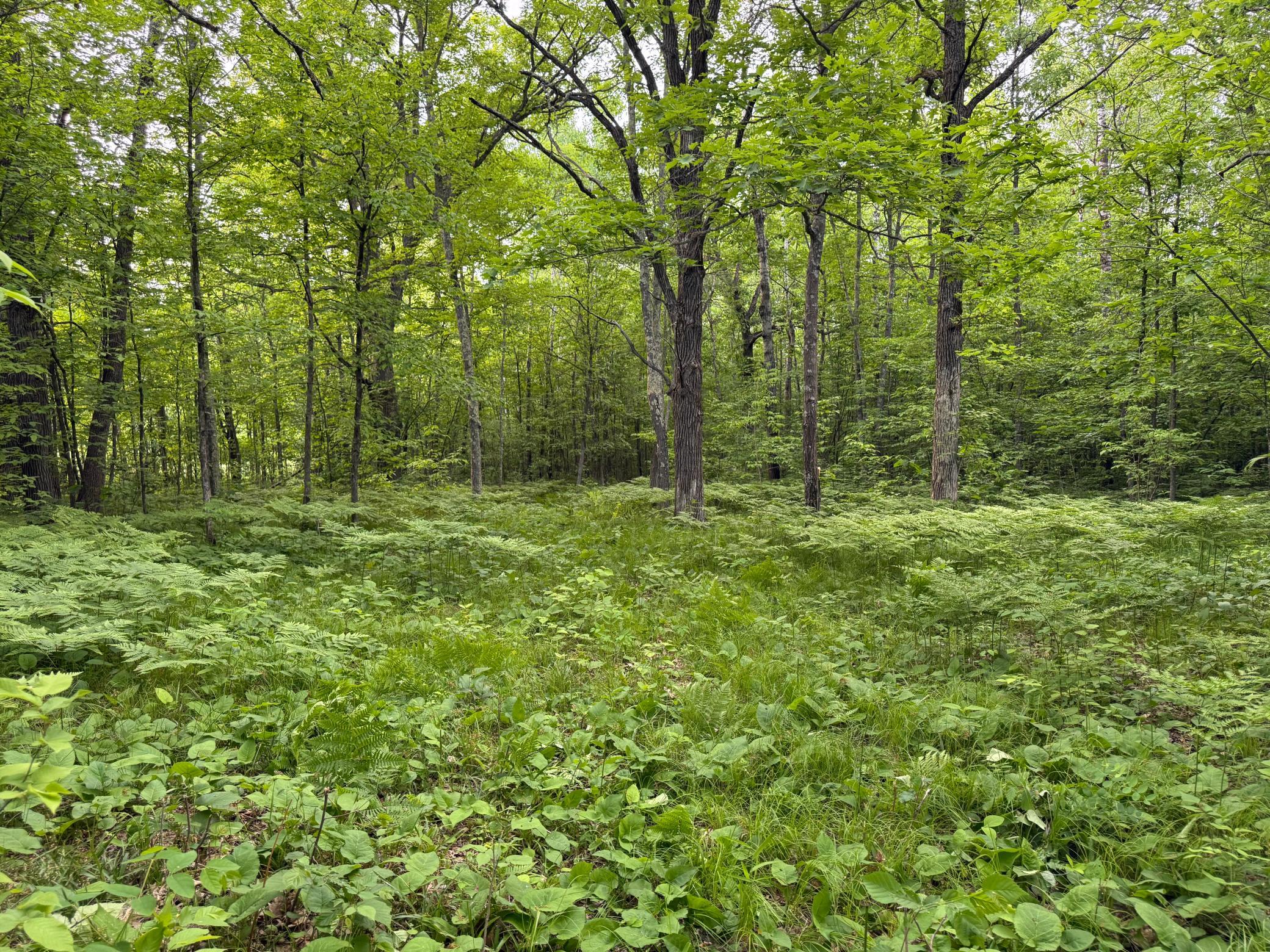 Tbd Sandhill Crane Ln Property Photo 1