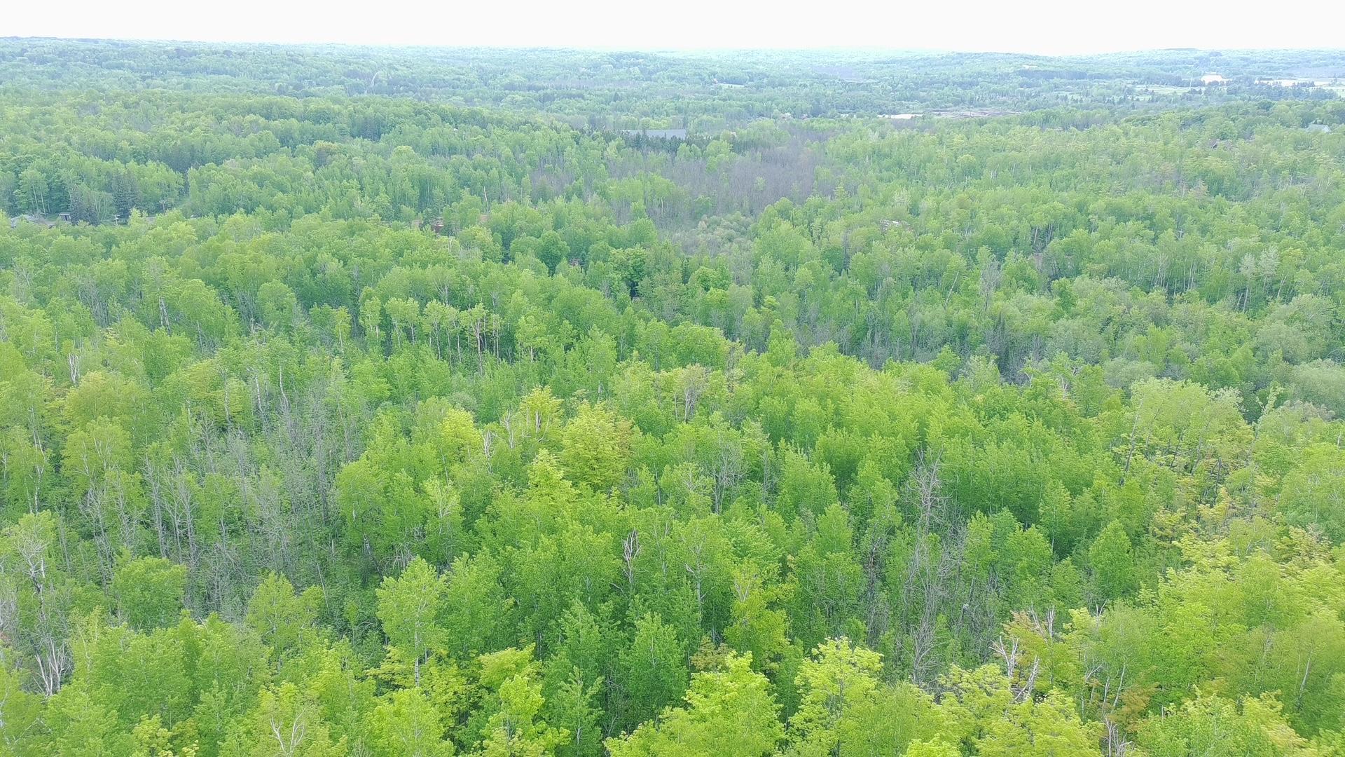 Tbd Katherine Property Photo 4