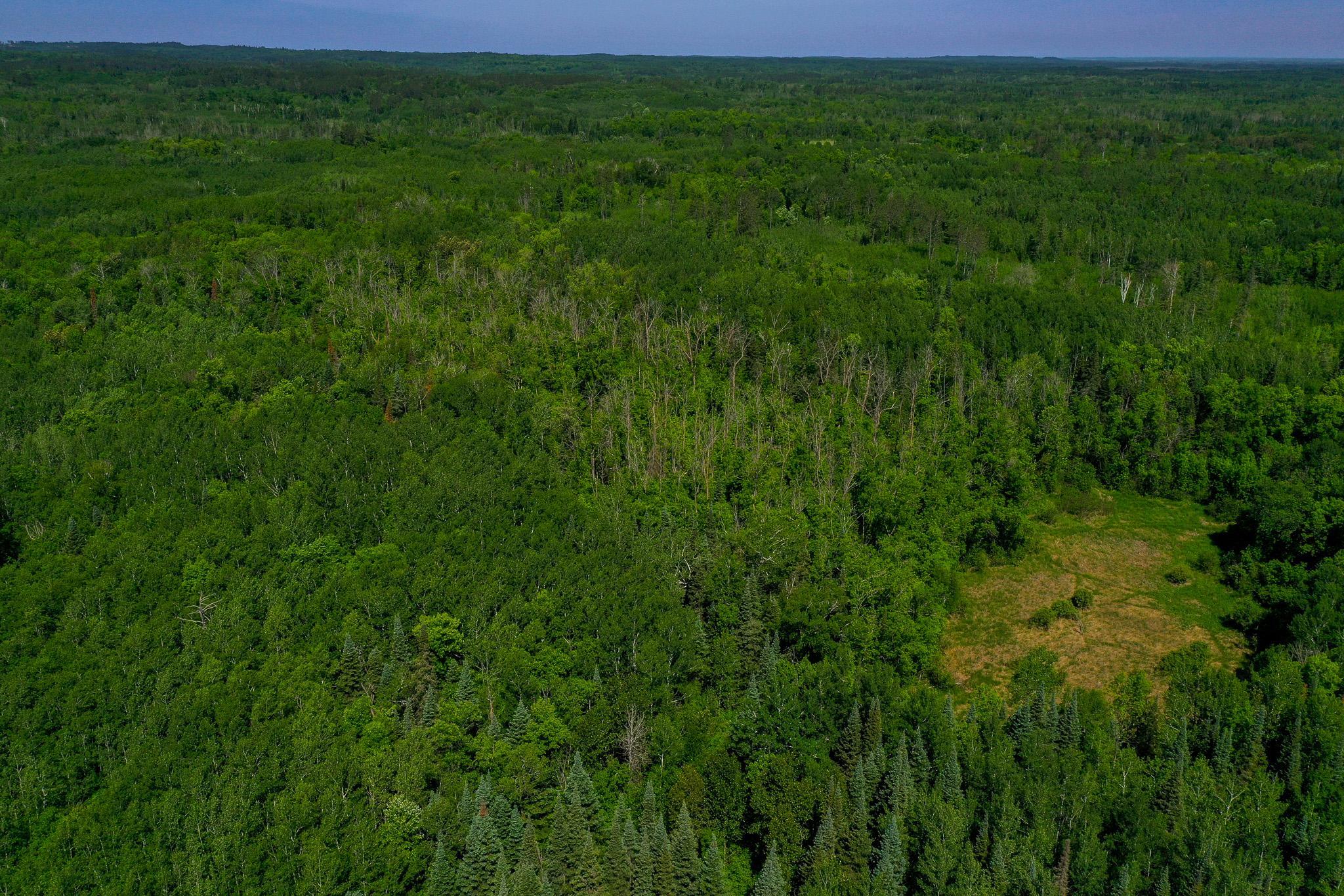 Tbd County Highway 47 Property Photo 1